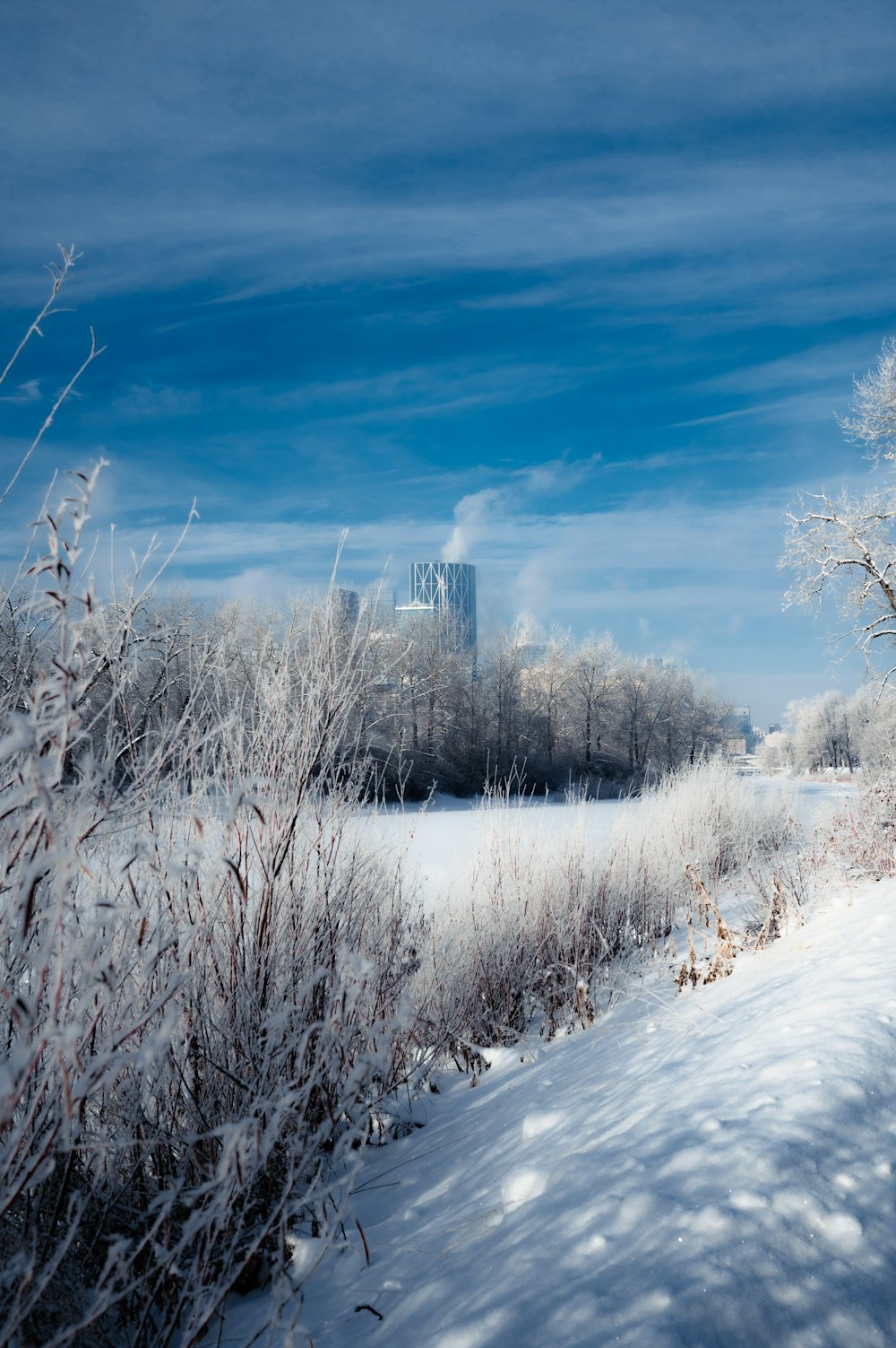 Snow Covered Field: Hãy xem bức tranh tuyệt đẹp của một cánh đồng phủ tuyết mịn màng, tĩnh lặng. Bạn sẽ thấy được vẻ đẹp của thiên nhiên vào mùa đông, cùng những vệt nắng rực rỡ chiếu xuống. Hình ảnh này sẽ giúp bạn thư giãn và đưa bạn tới một thế giới bình yên.