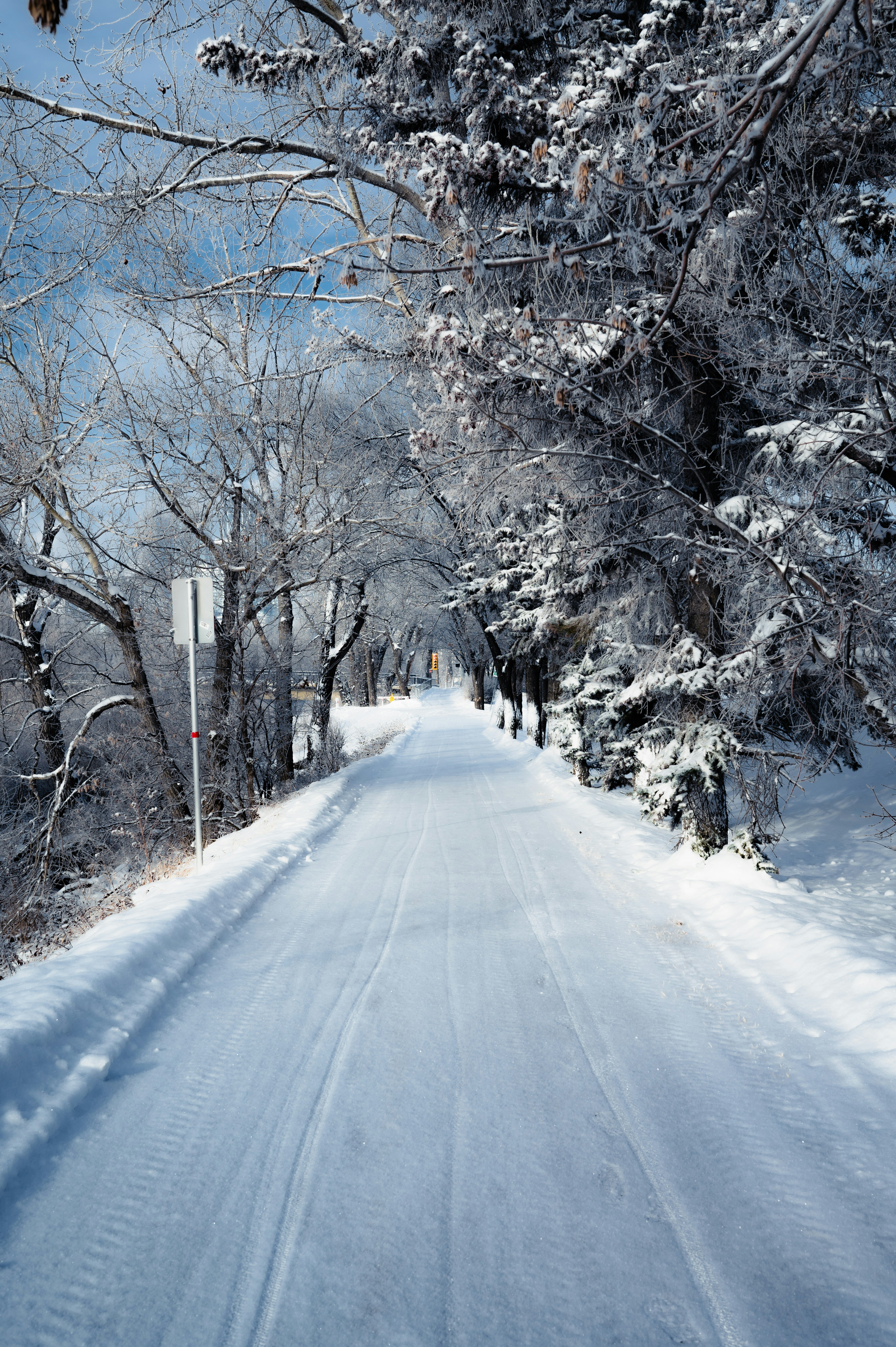 Photo by ryunosuke_kikuno