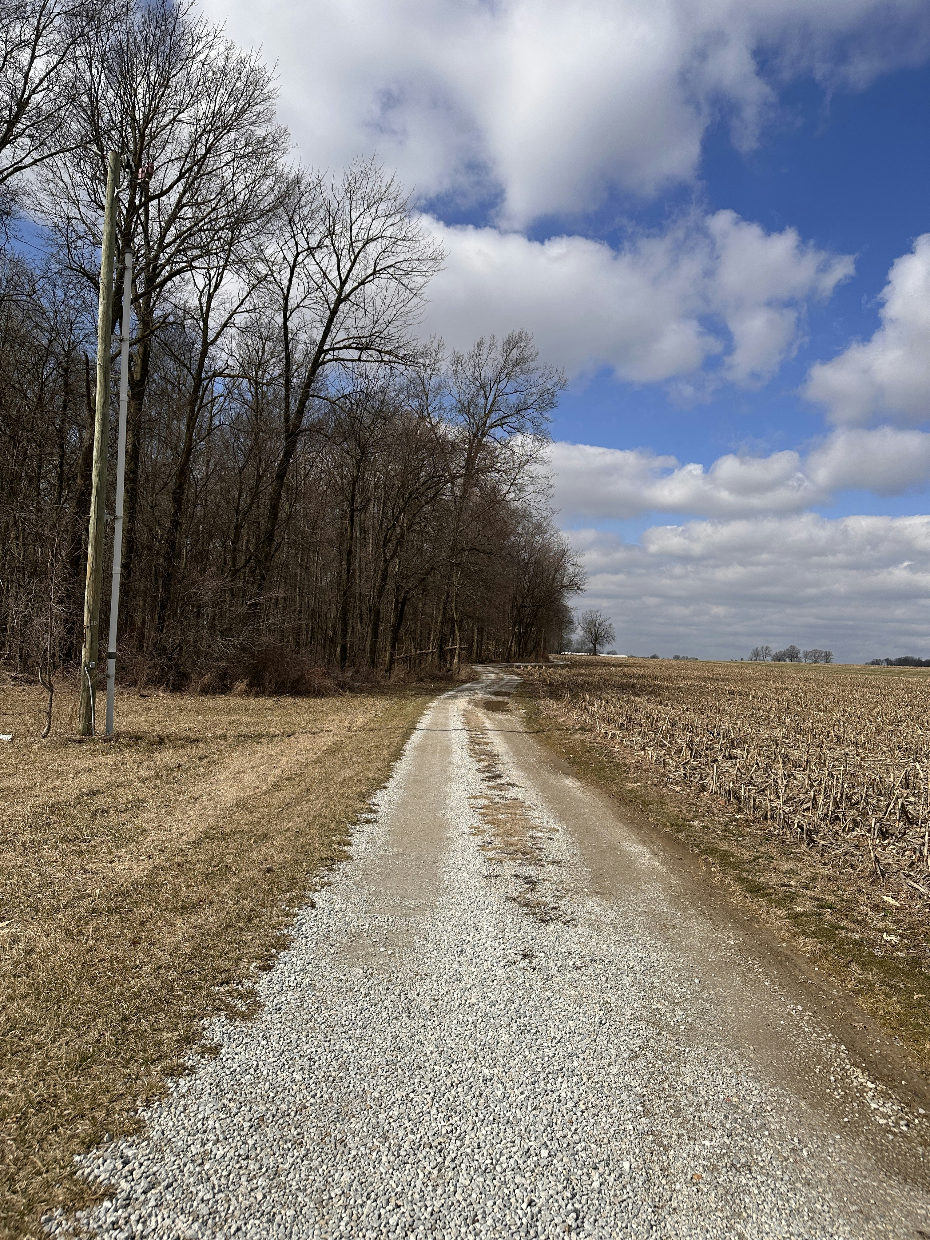 a dirt road in the middle of a field