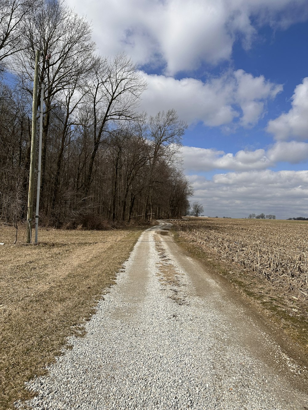 Ein Feldweg mitten auf einem Feld