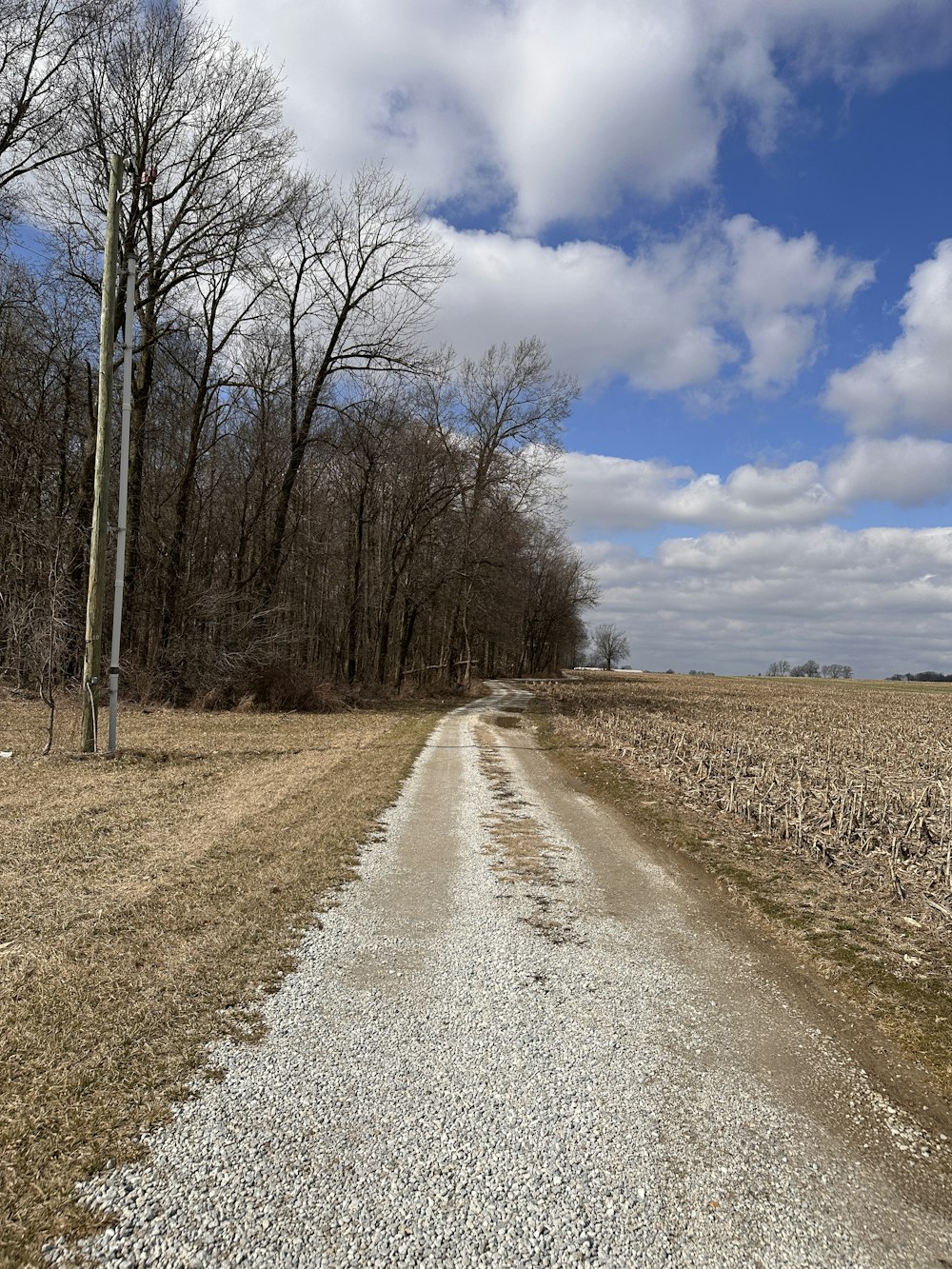 a dirt road in the middle of a field