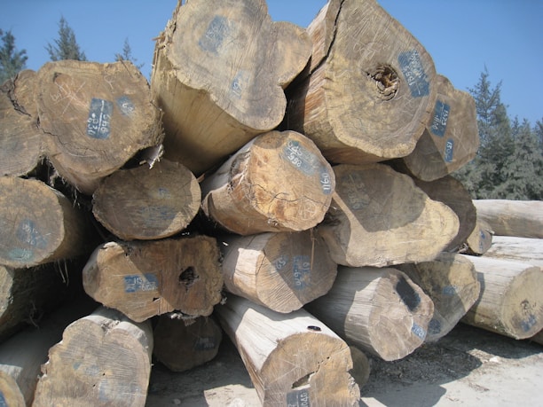 A pile of large cut logs stacked together, with visible tree rings and some marked numbers on the ends. The logs are situated outdoors with a backdrop of trees and a clear blue sky.