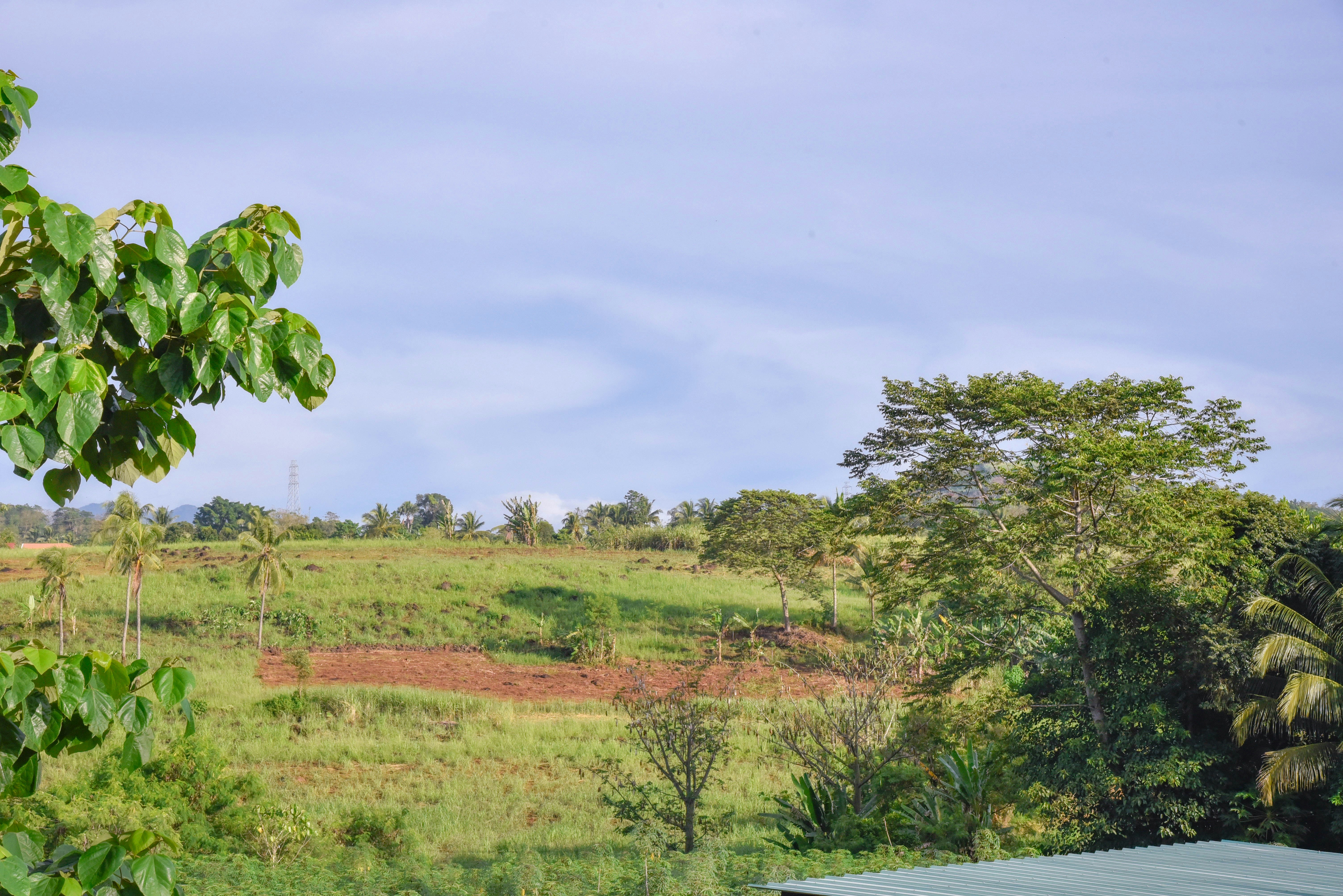 Photo by kurisuchanxx