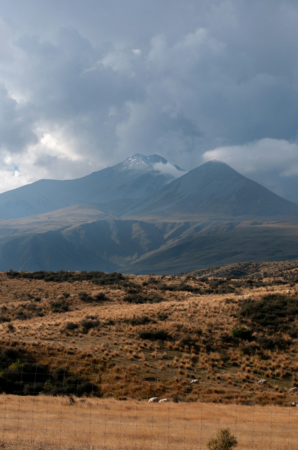 a field with a mountain in the background