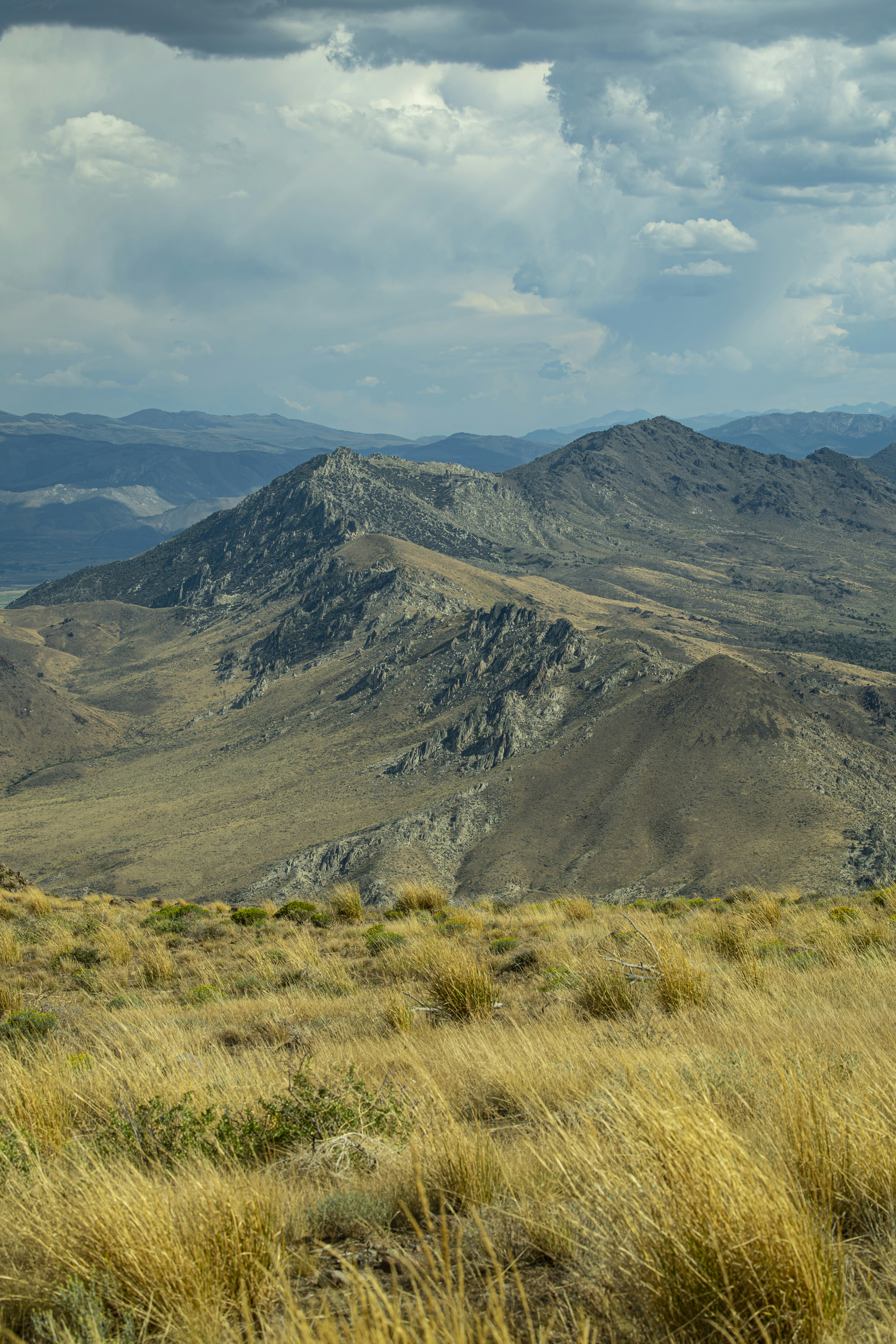 Photo by leo_visions_