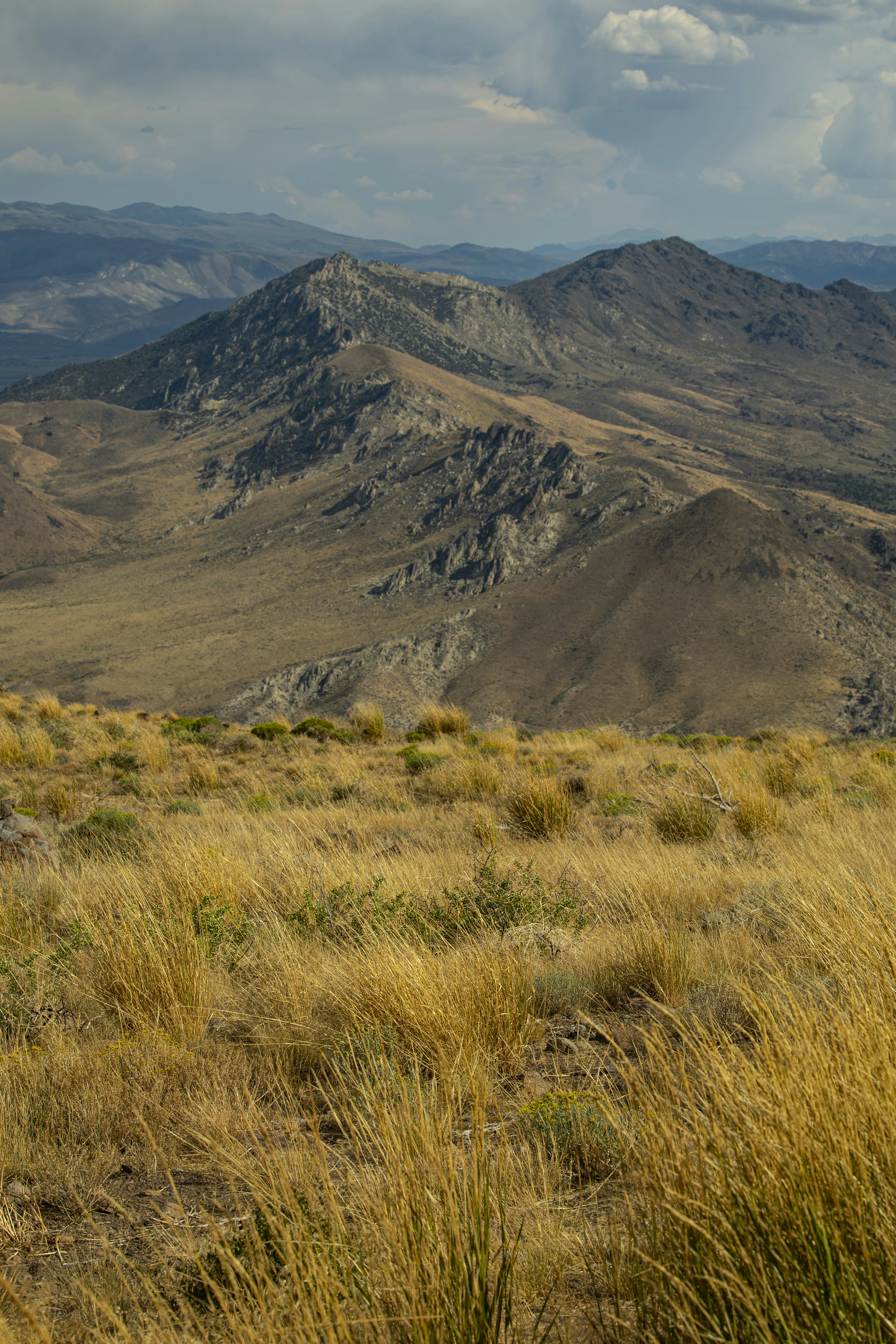 Photo by leo_visions_