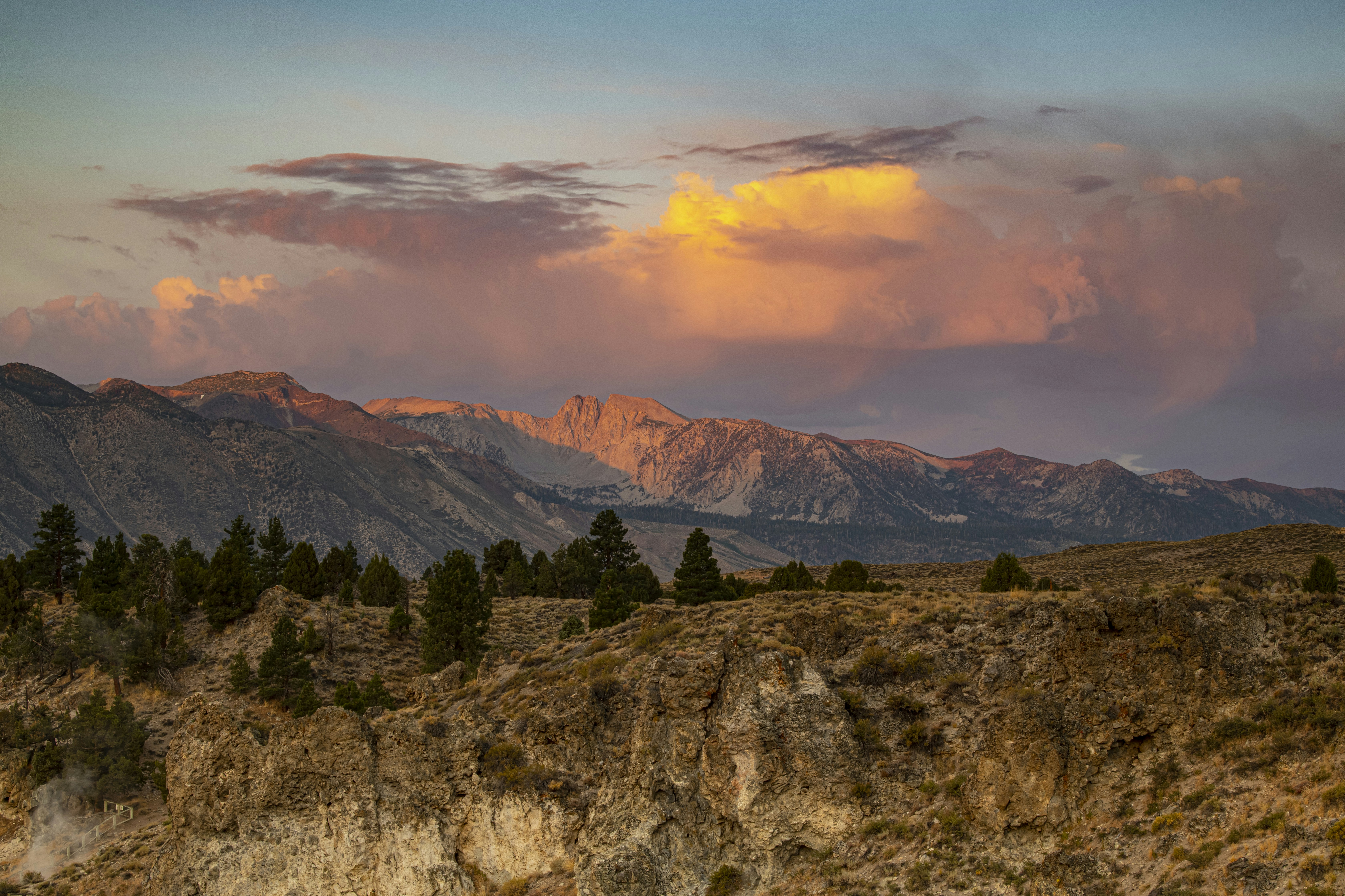 Photo by leo_visions_