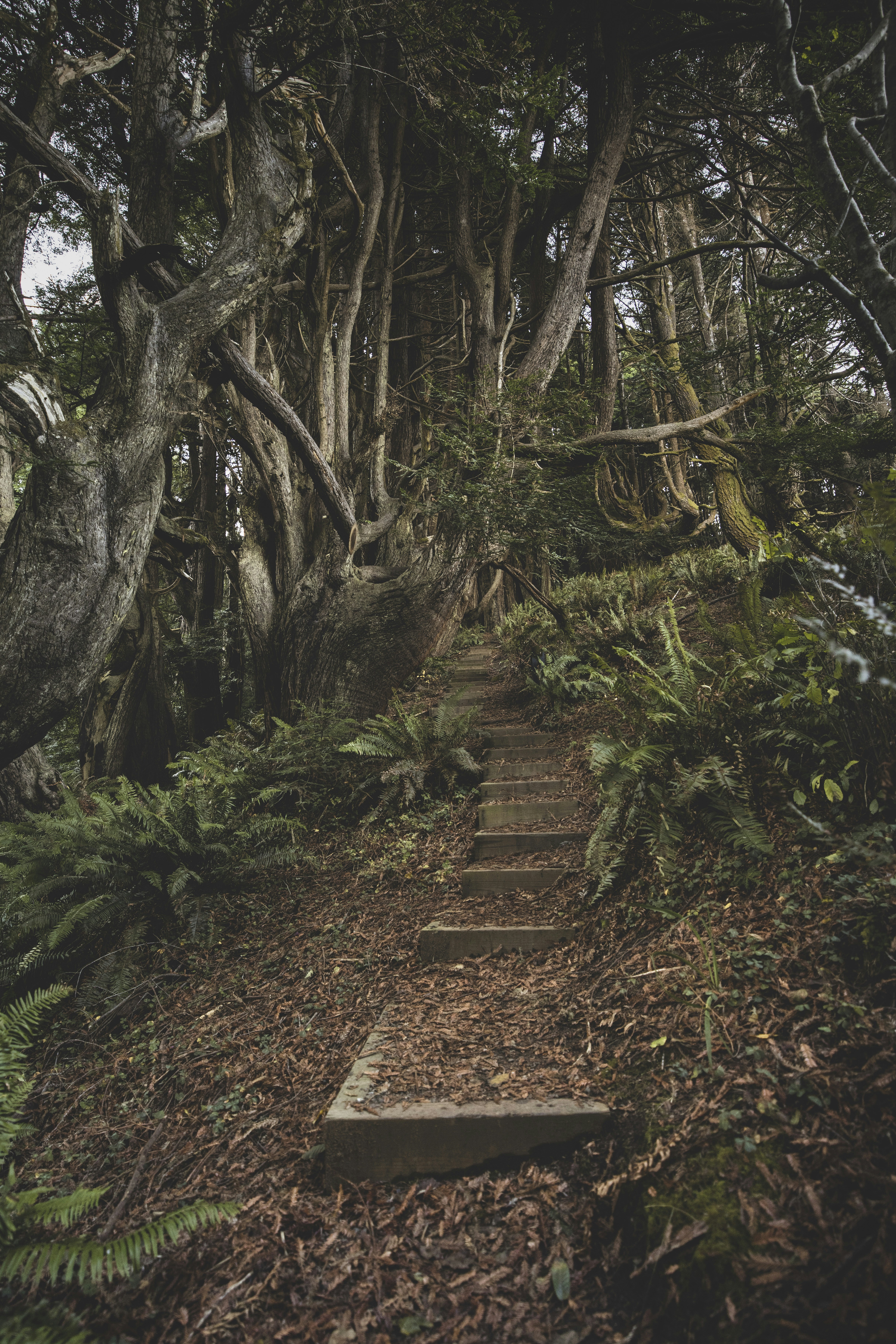 Photo by leo_visions_