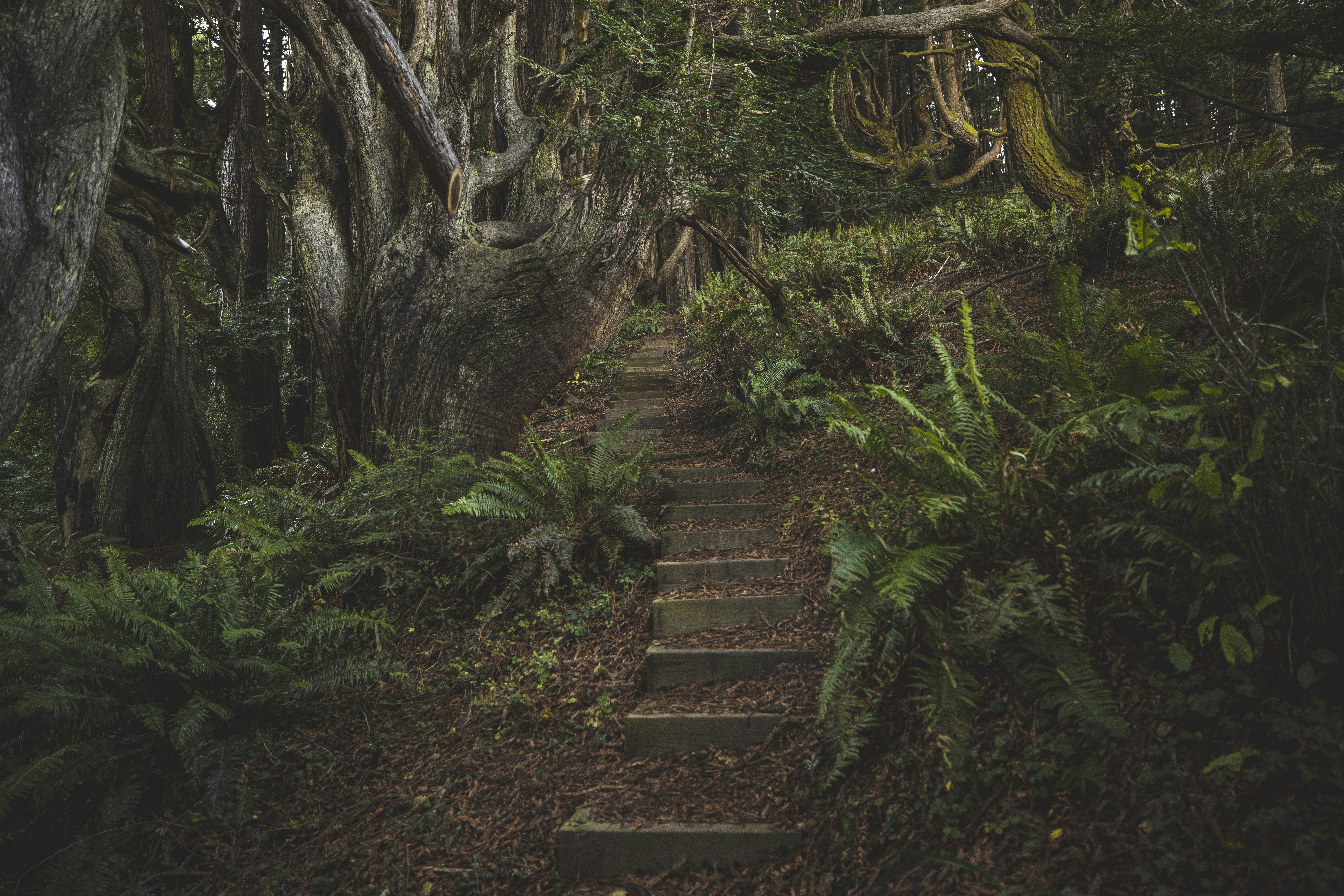 Photo by leo_visions_