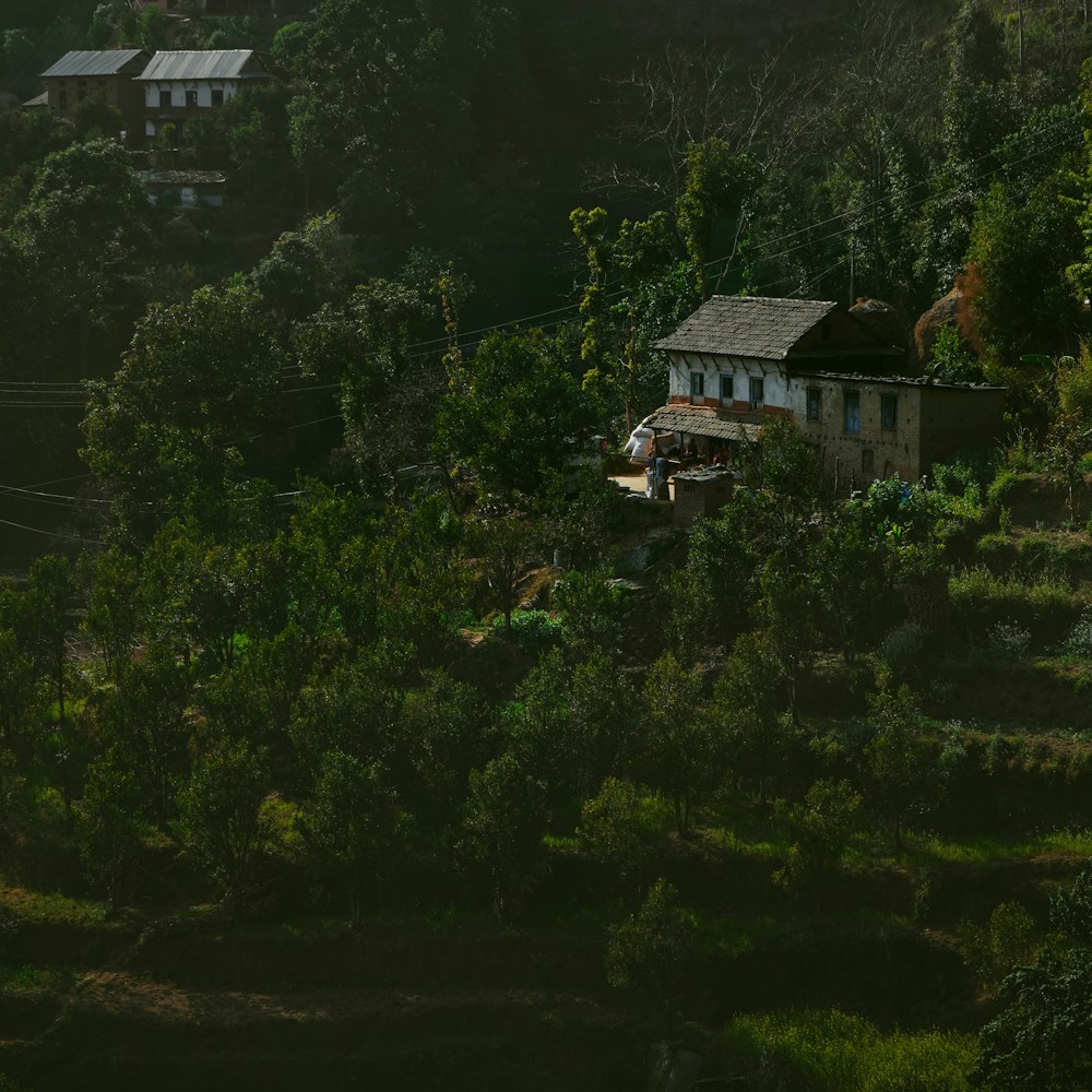 Una piccola casa nel mezzo di una foresta