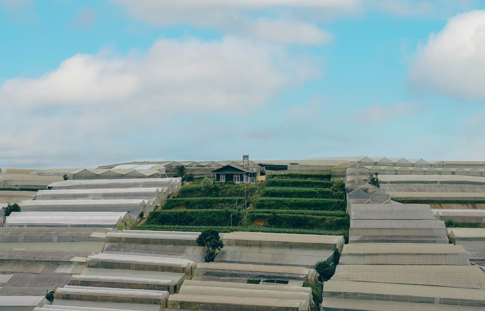 a large group of greenhouses with a sky background