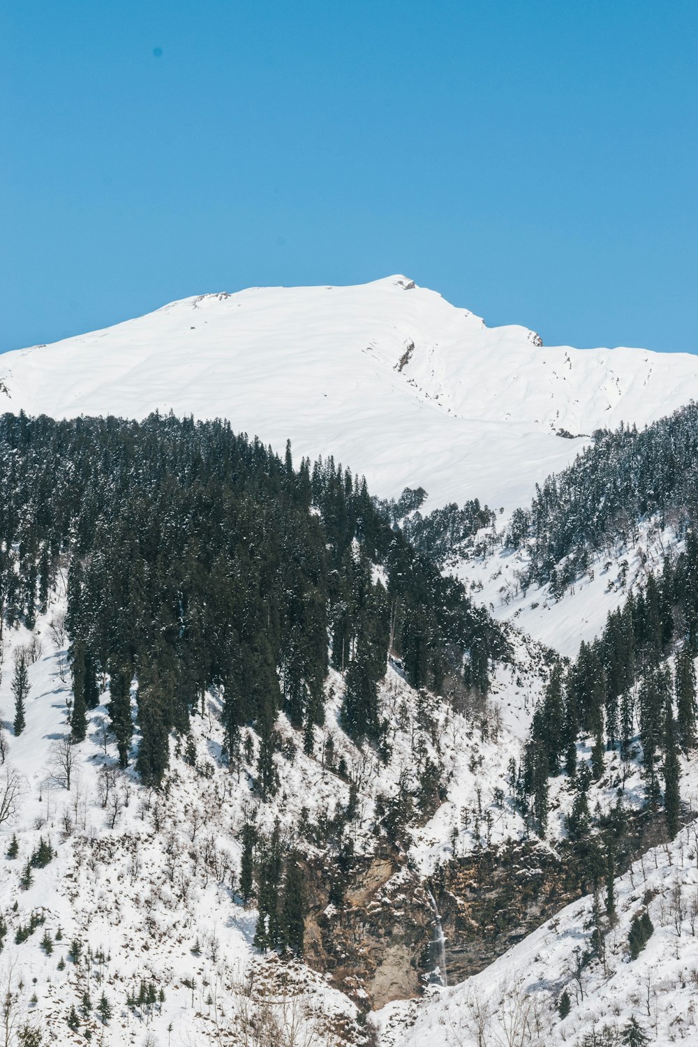 a mountain covered in snow and trees under a blue sky