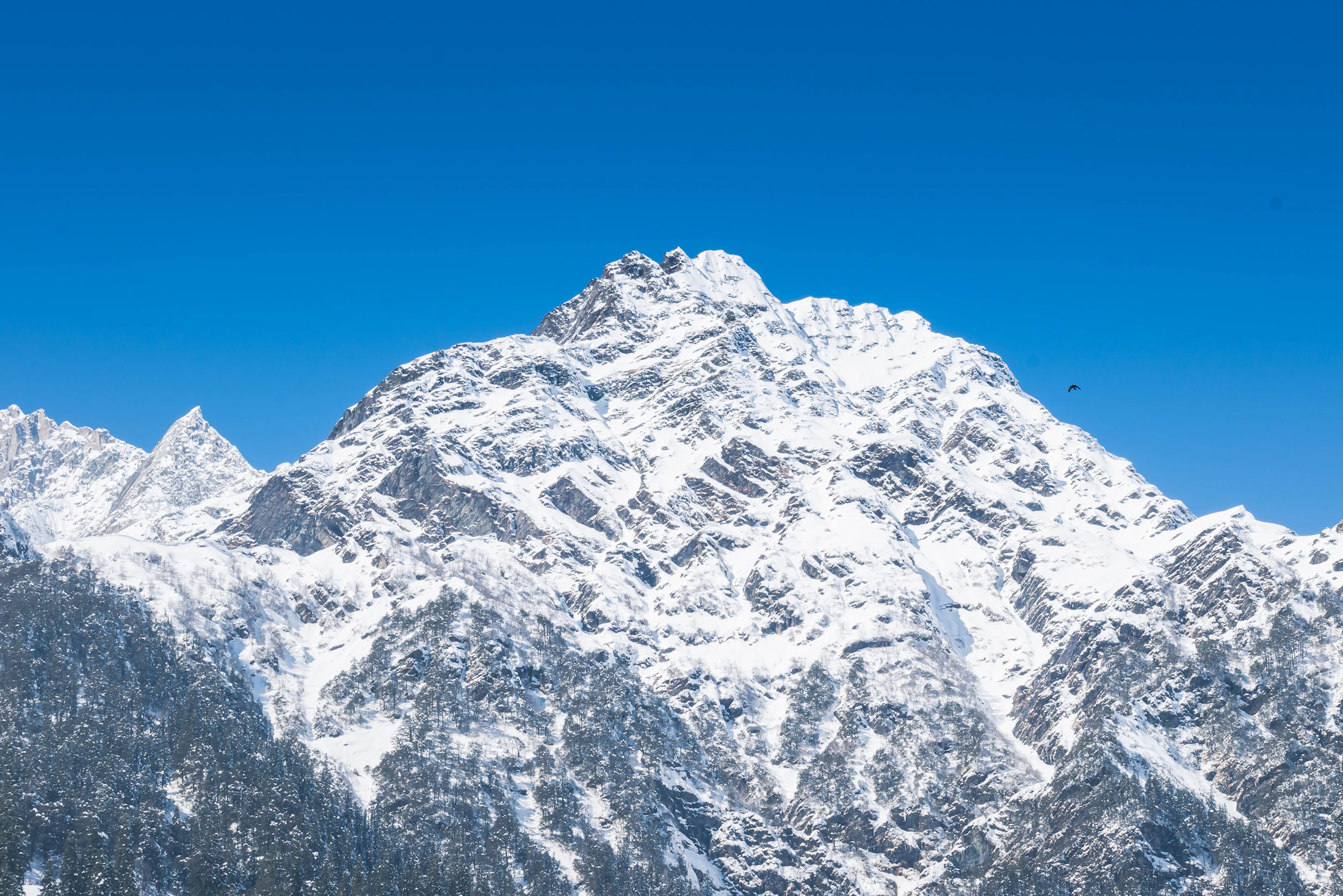 Himalayan Adventure