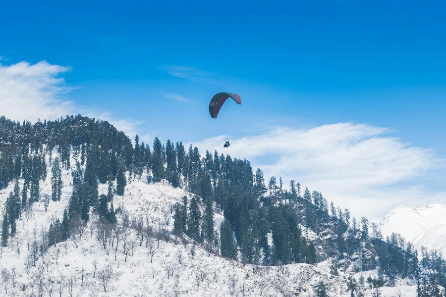 A paraglider flying above snow-covered pine slopes at Solang Valley near Manali under a blue sky