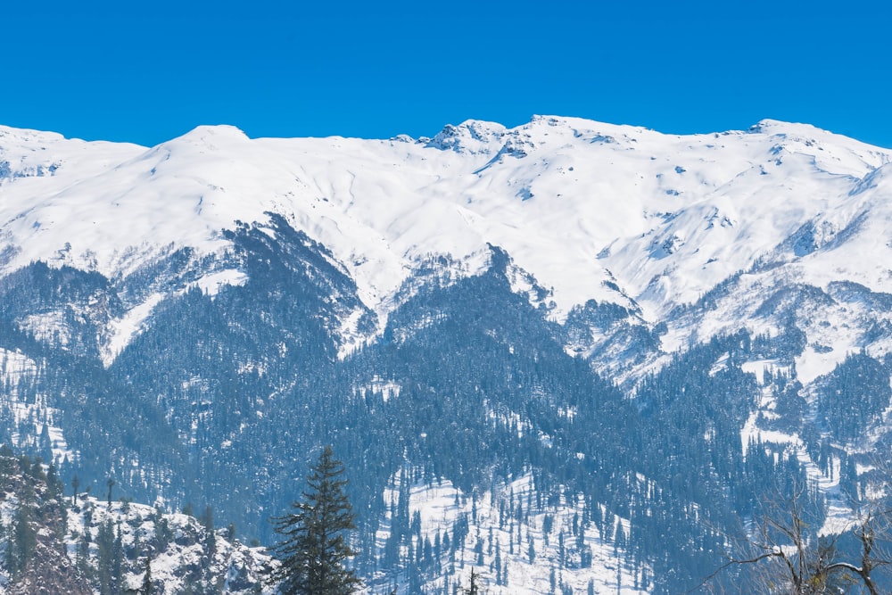 a snow covered mountain range with trees in the foreground