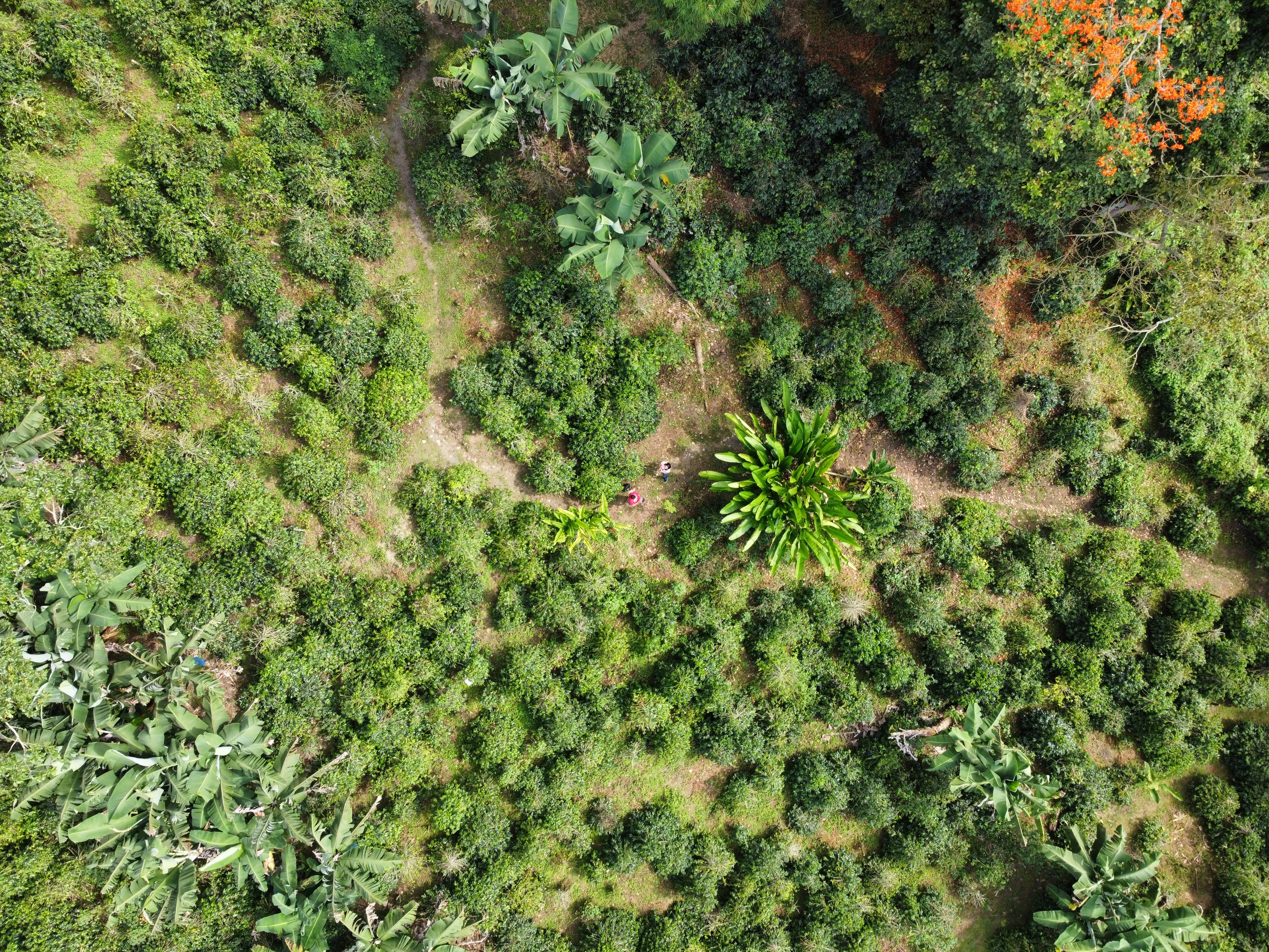 Photo by ernesto_adrian