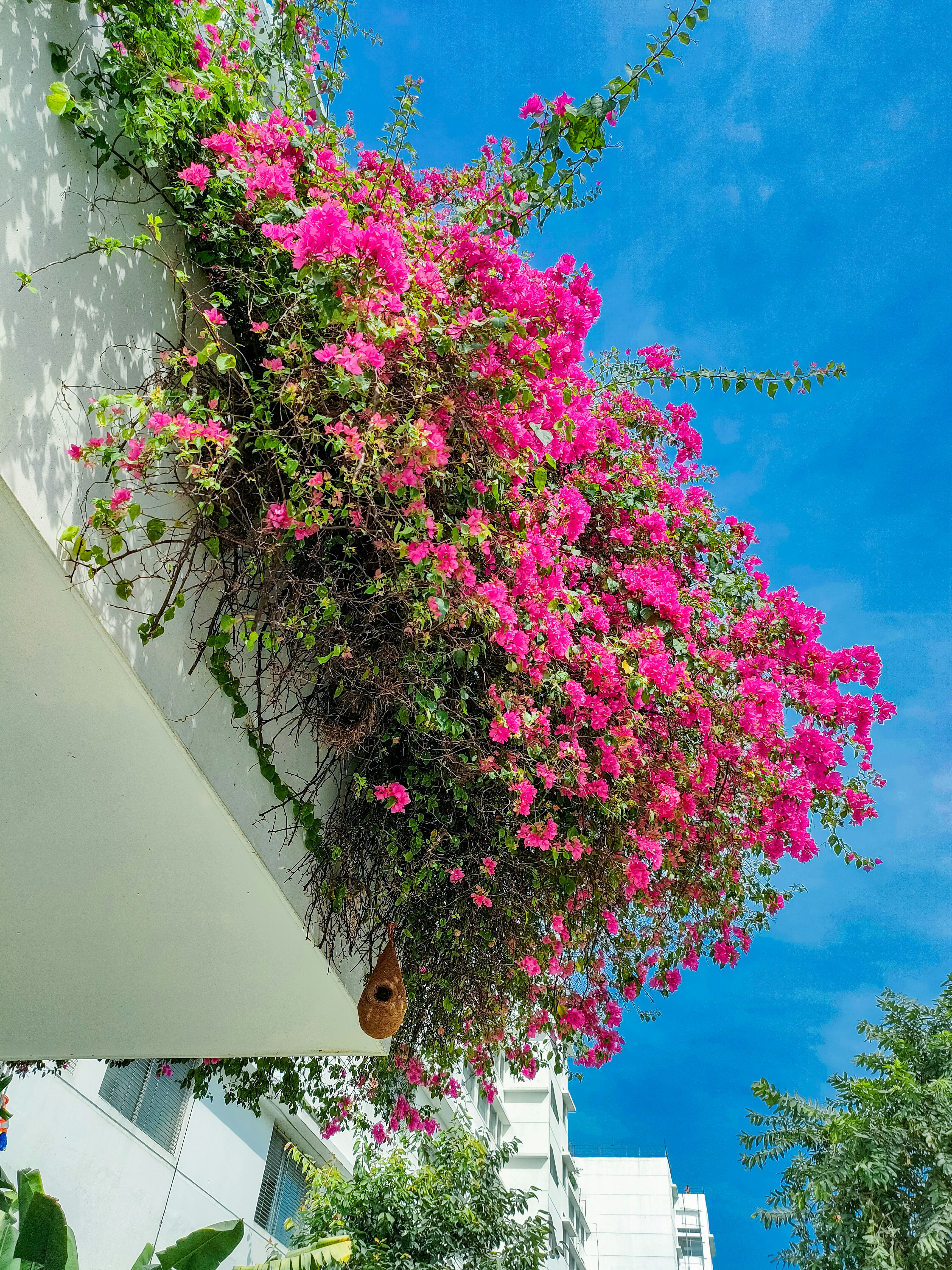 Photo by shahadatrafi2040