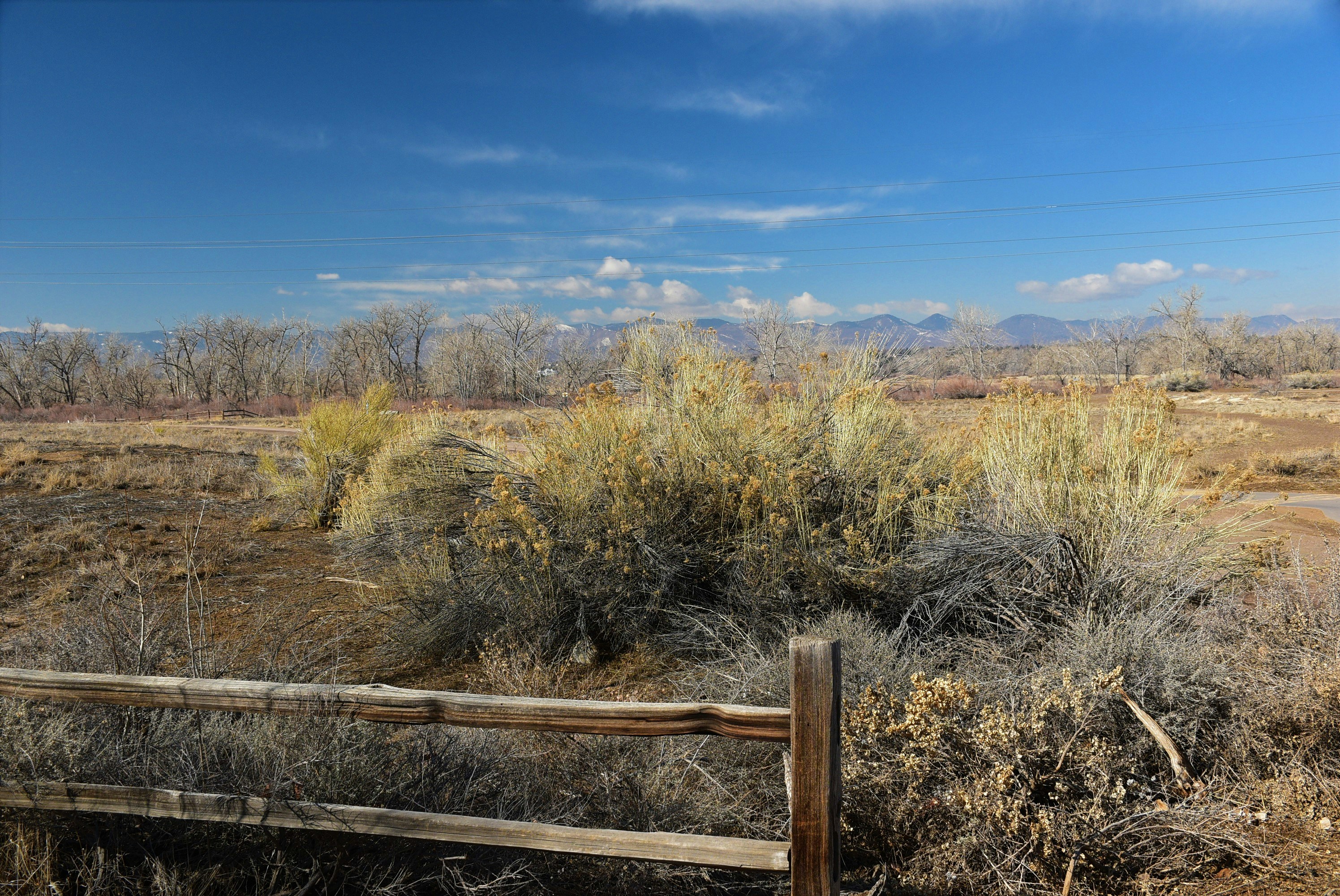 Students participating in a group discussion