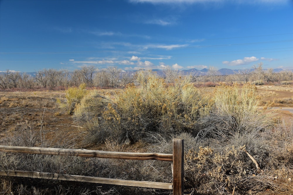 a wooden fence sitting in the middle of a dry grass field
