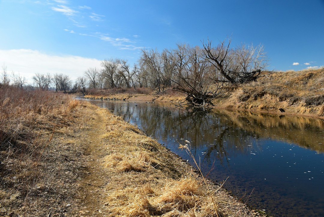Littleton