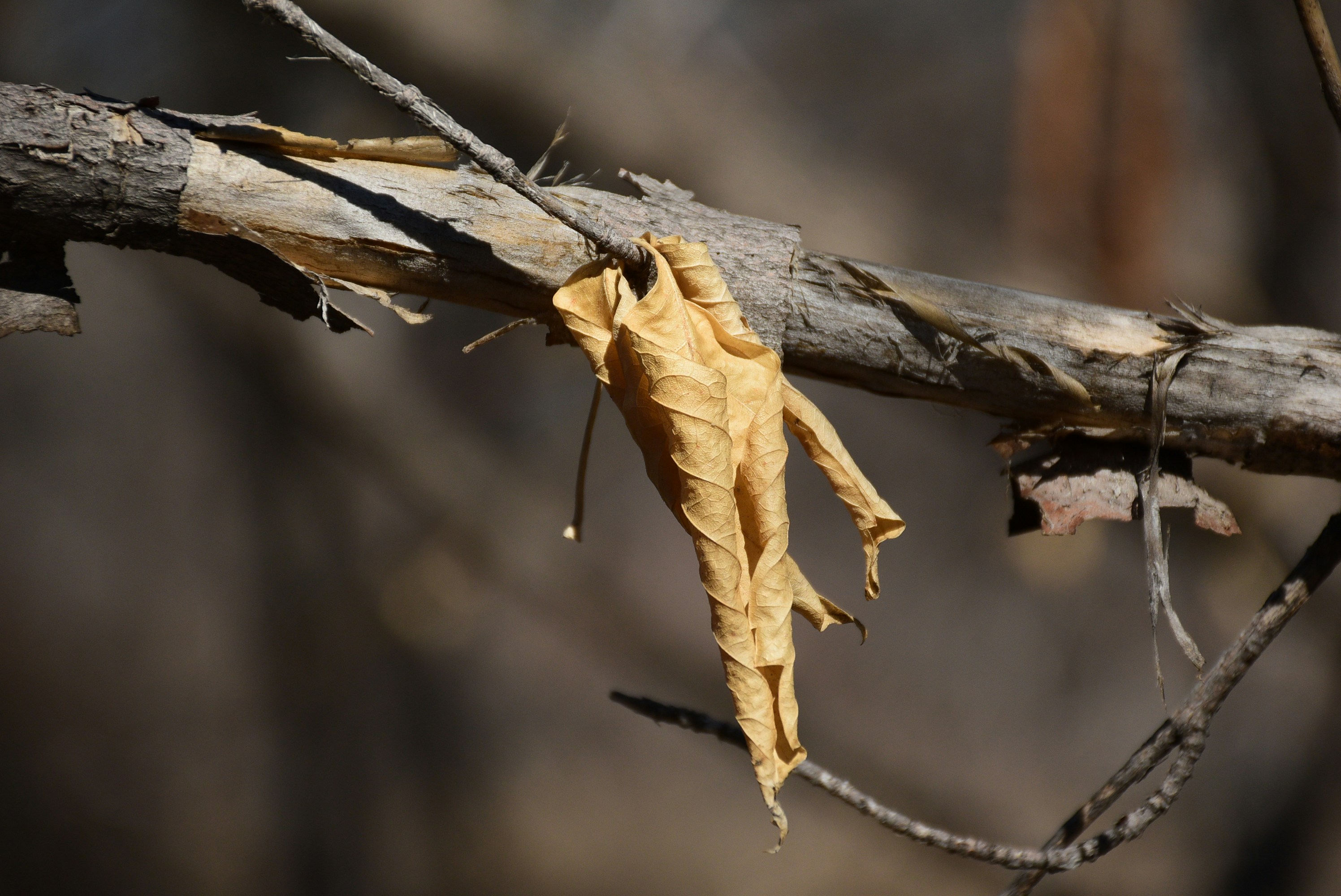 Diverse group of students studying together