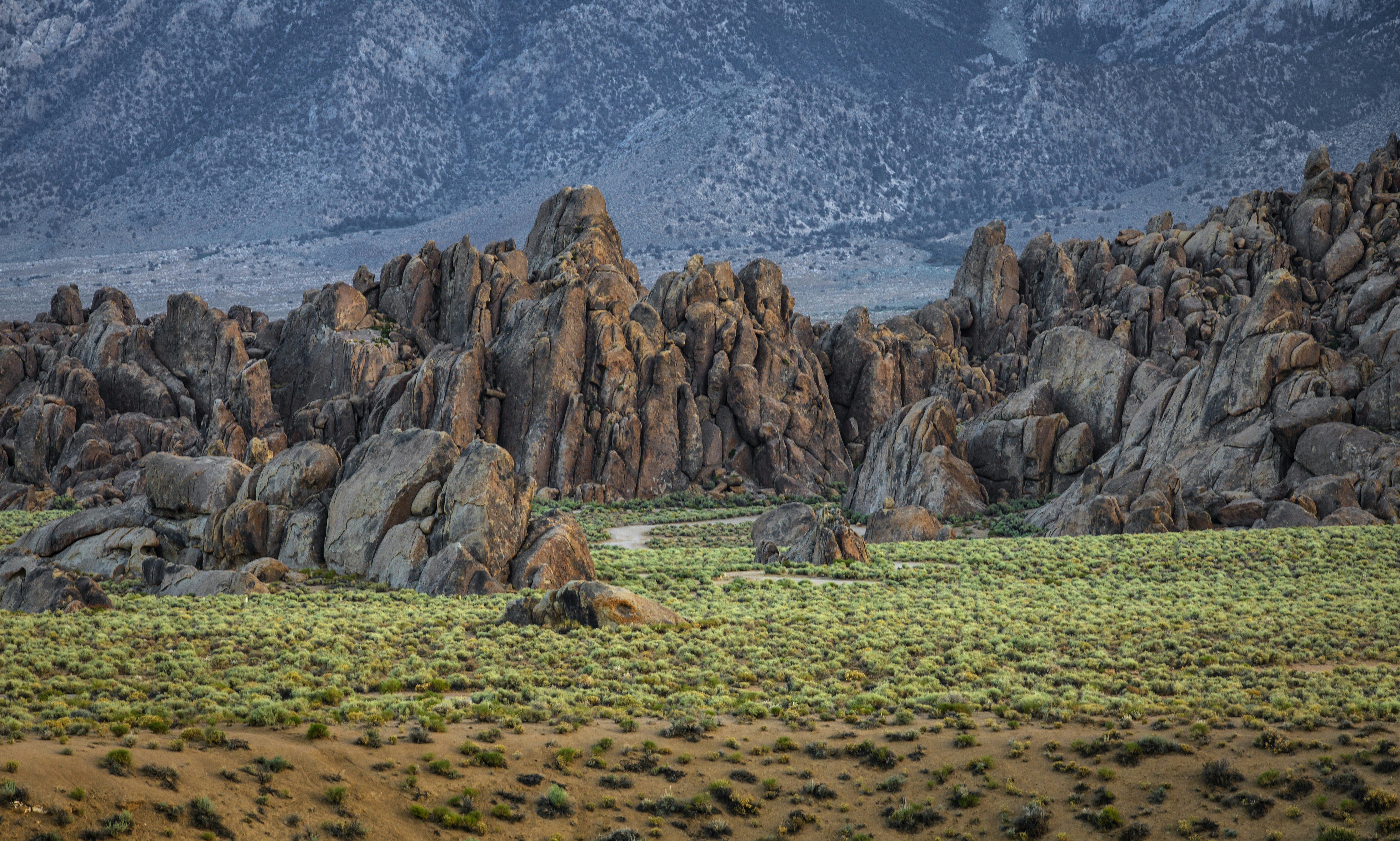 a rocky landscape with a mountain range in the background