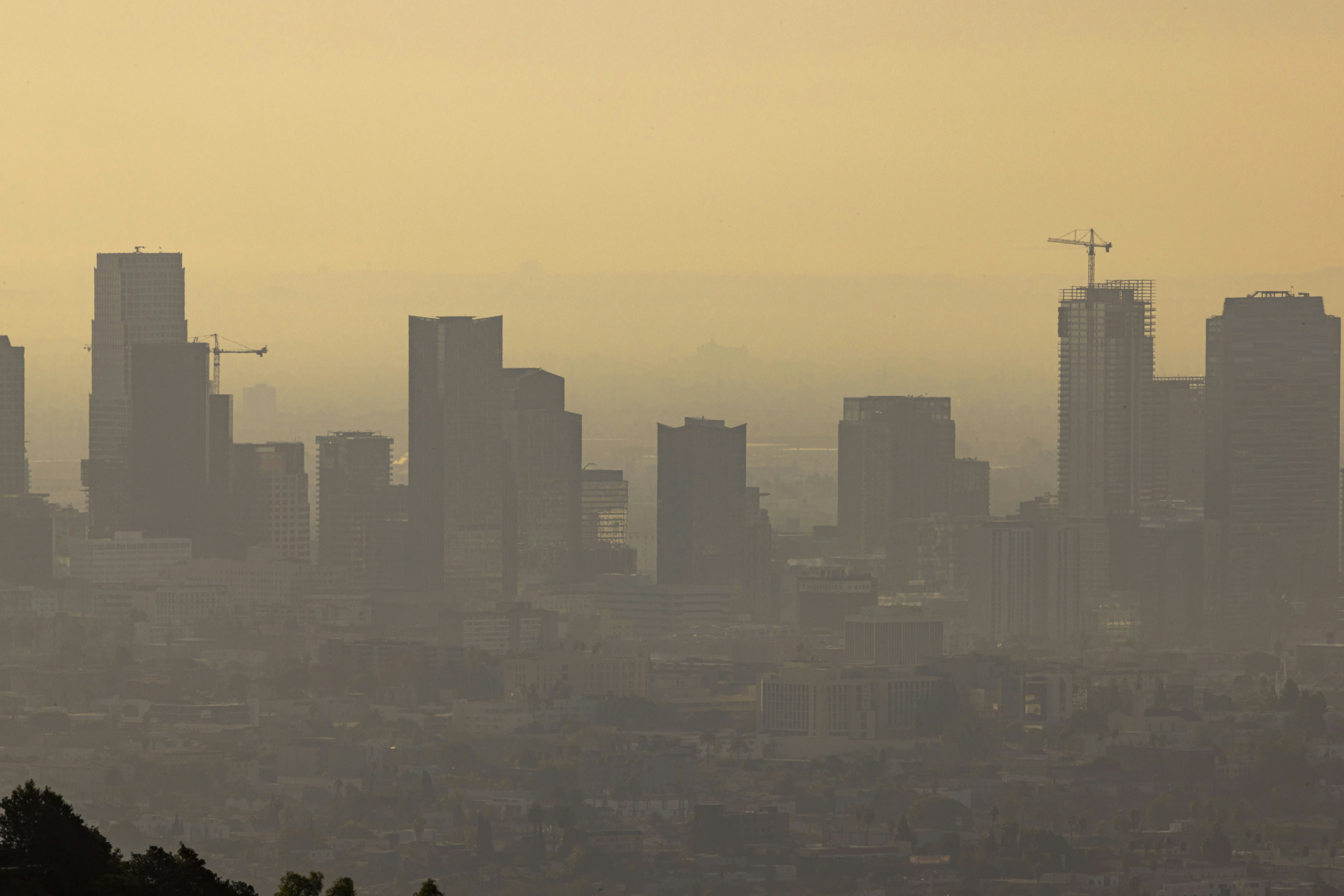 Photo by leo_visions_