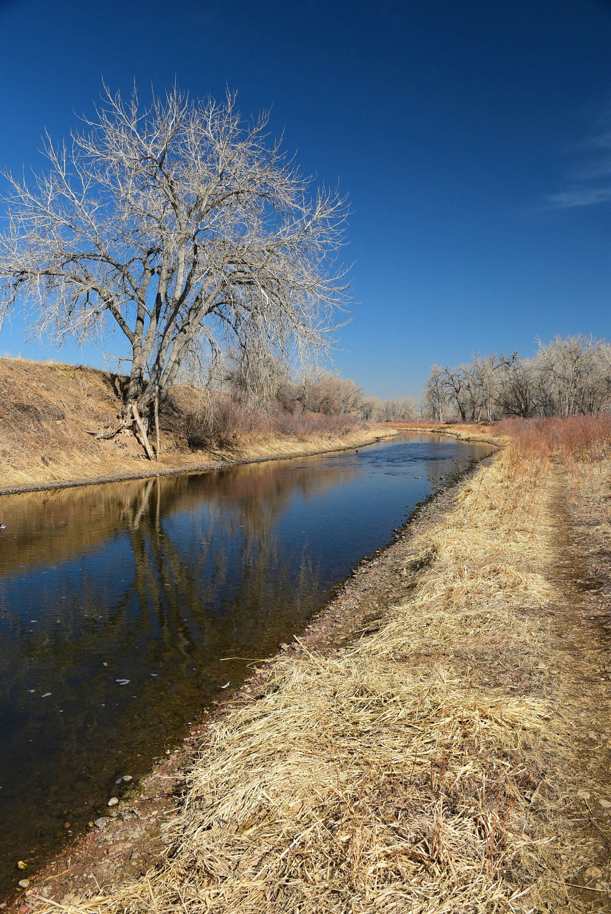 Image for Contact Page