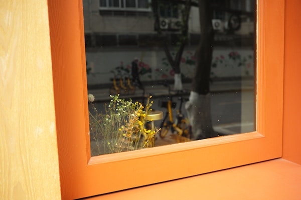A reflection of a bicycle is visible in a window with an orange frame. Plants with small yellow flowers are in front of the window, and there is a street and building in the background.