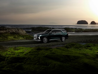 A bright 7-seater vehicle parked near a scenic coastal road.