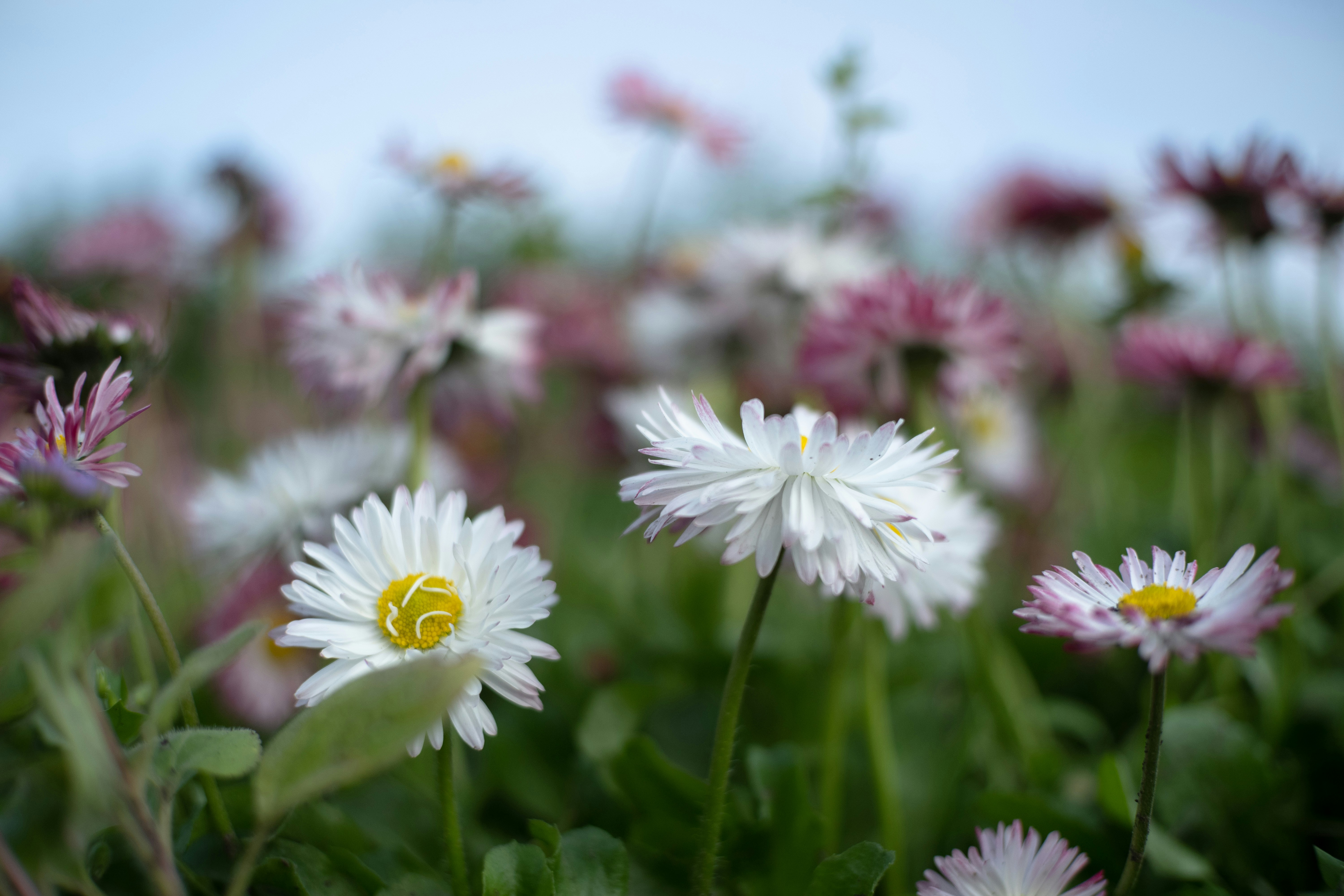 Photo by sevencolors