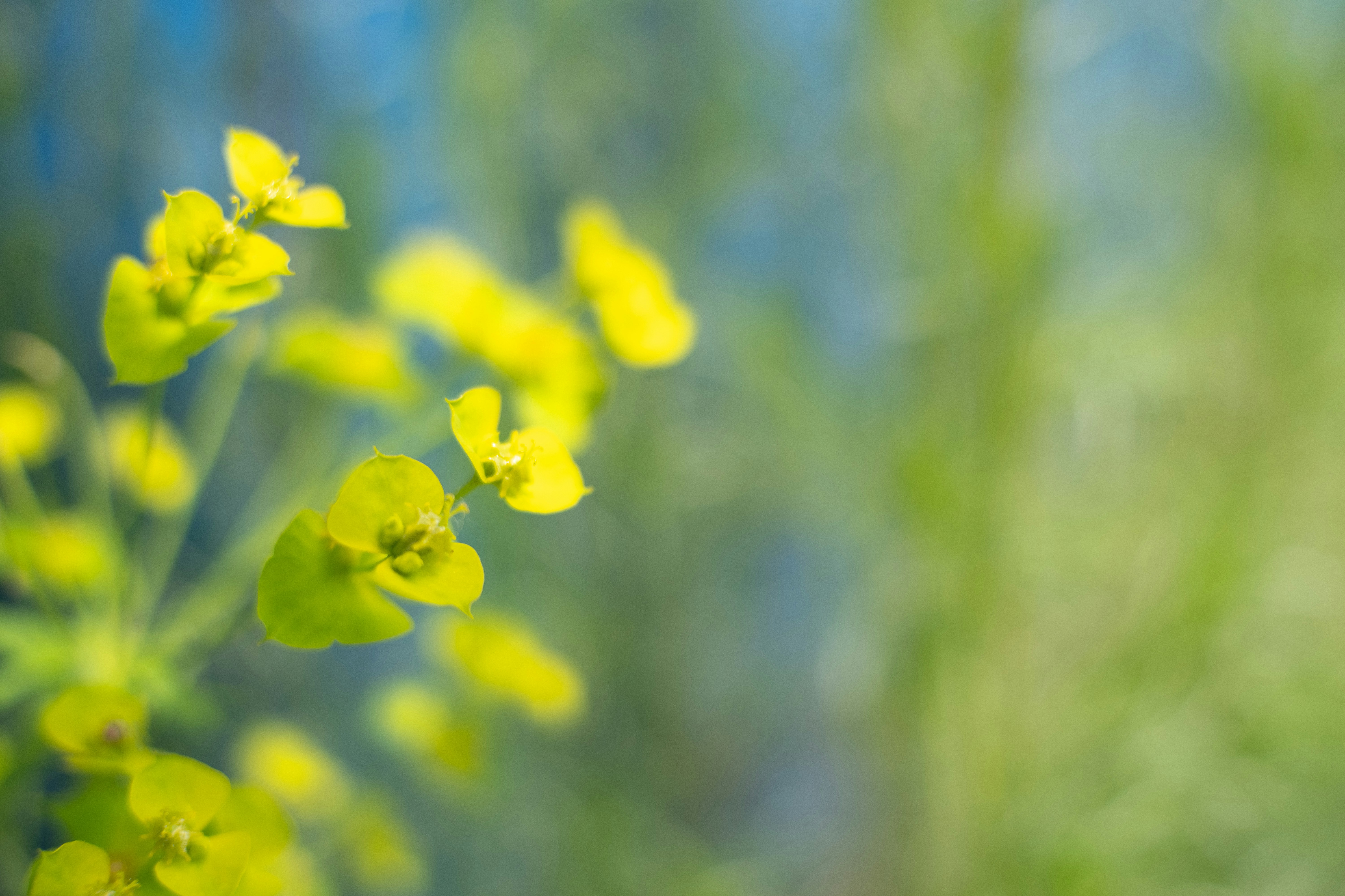 Photo by sevencolors