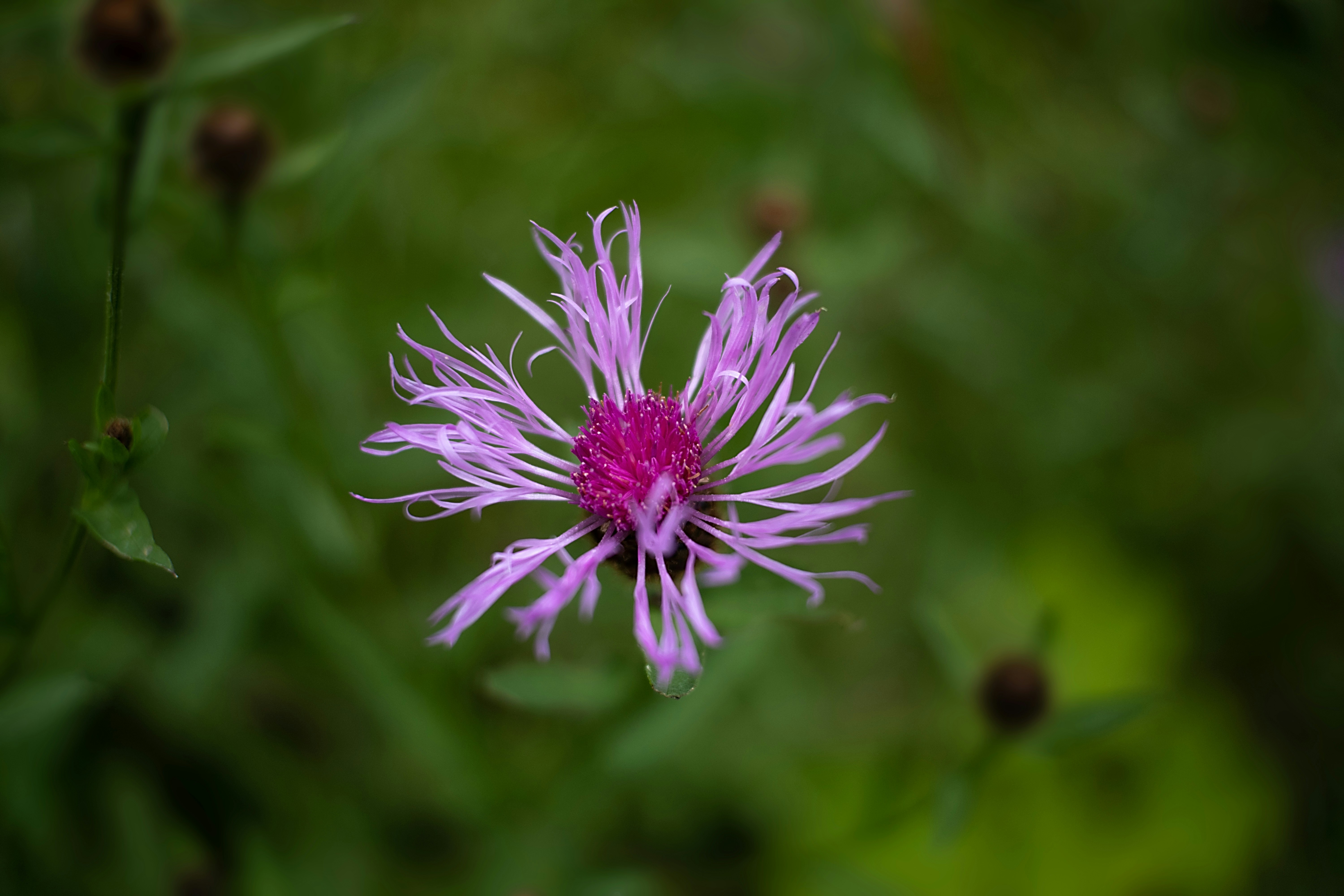 Photo by sevencolors