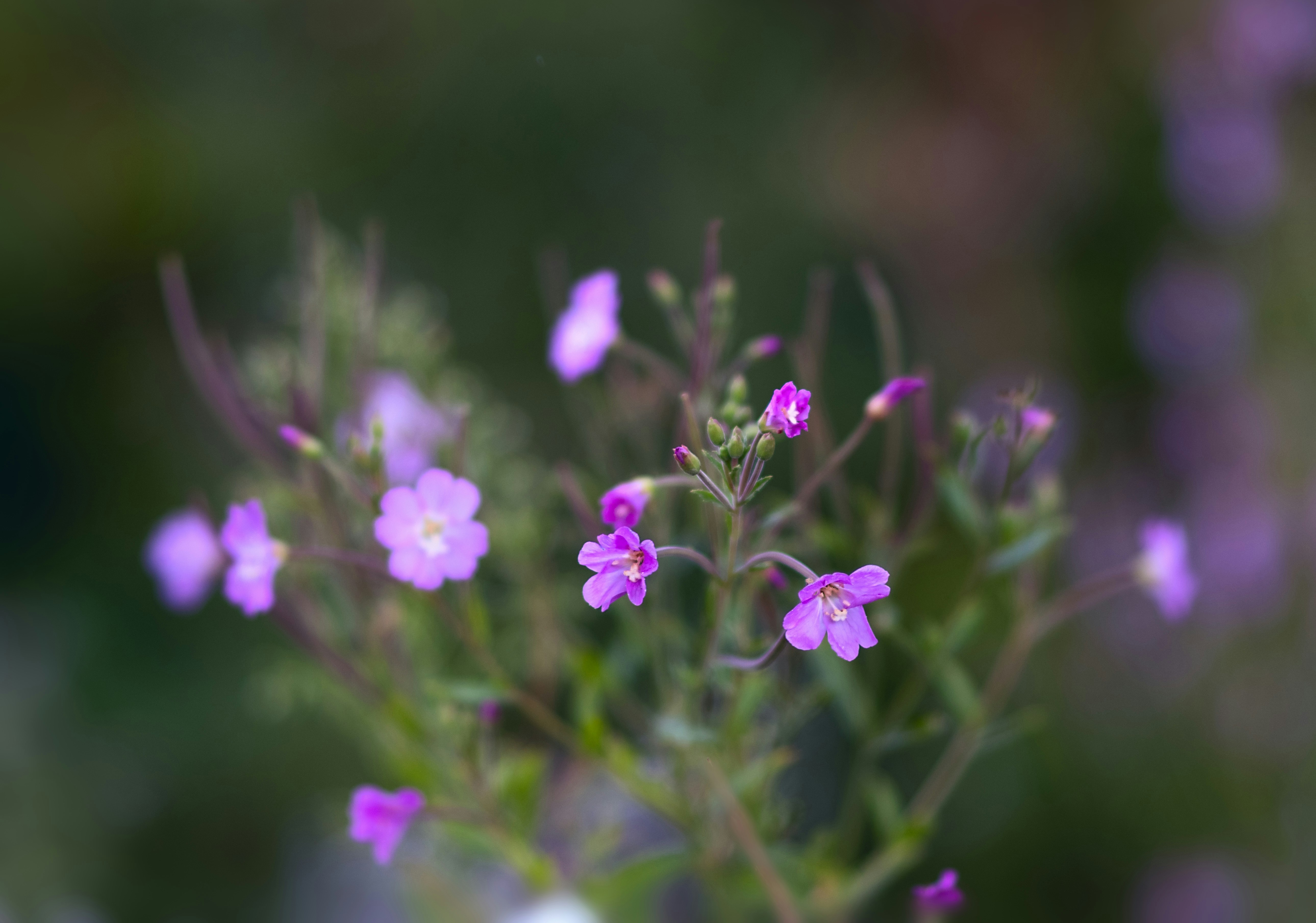 Photo by sevencolors