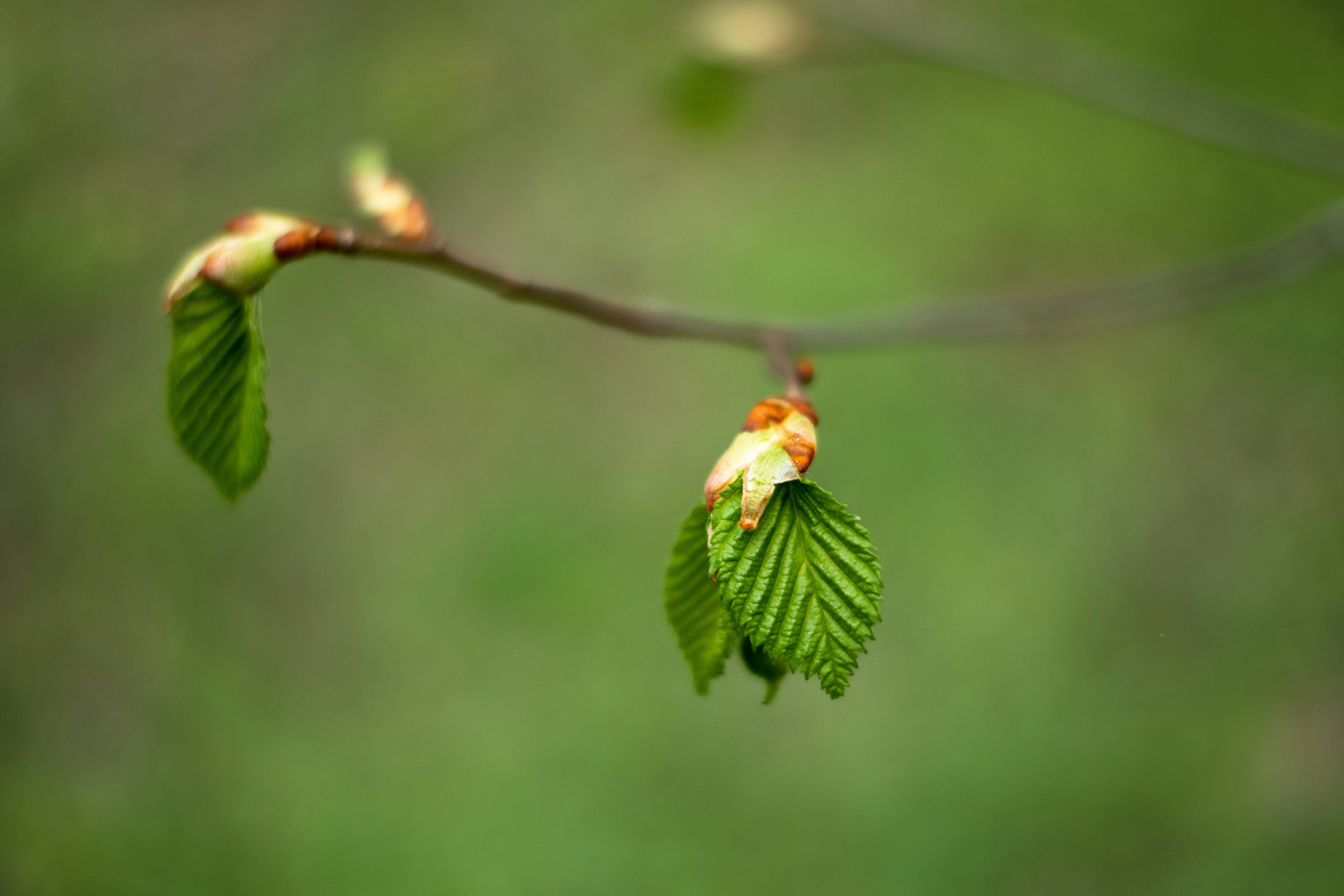 Photo by sevencolors