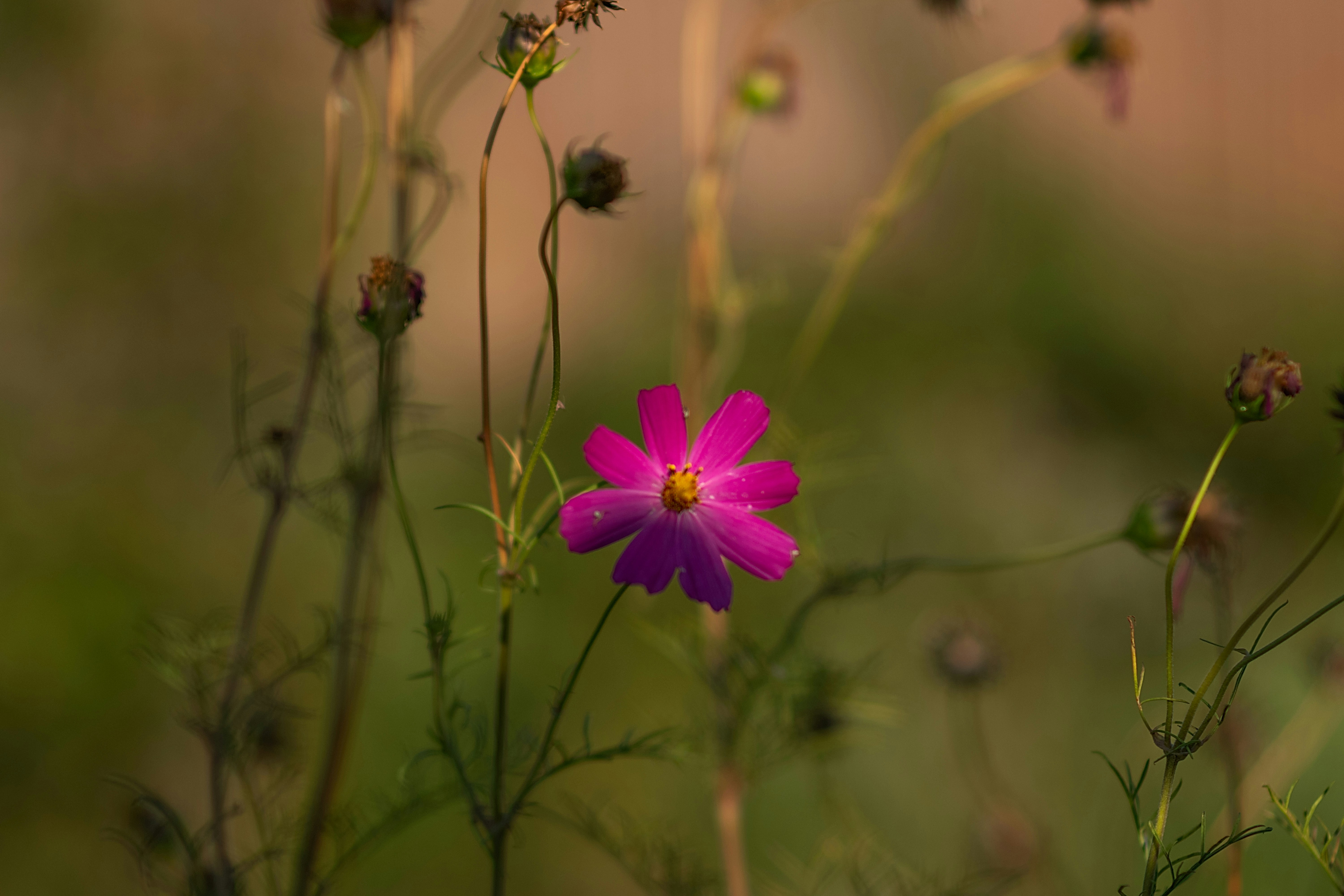 Photo by sevencolors