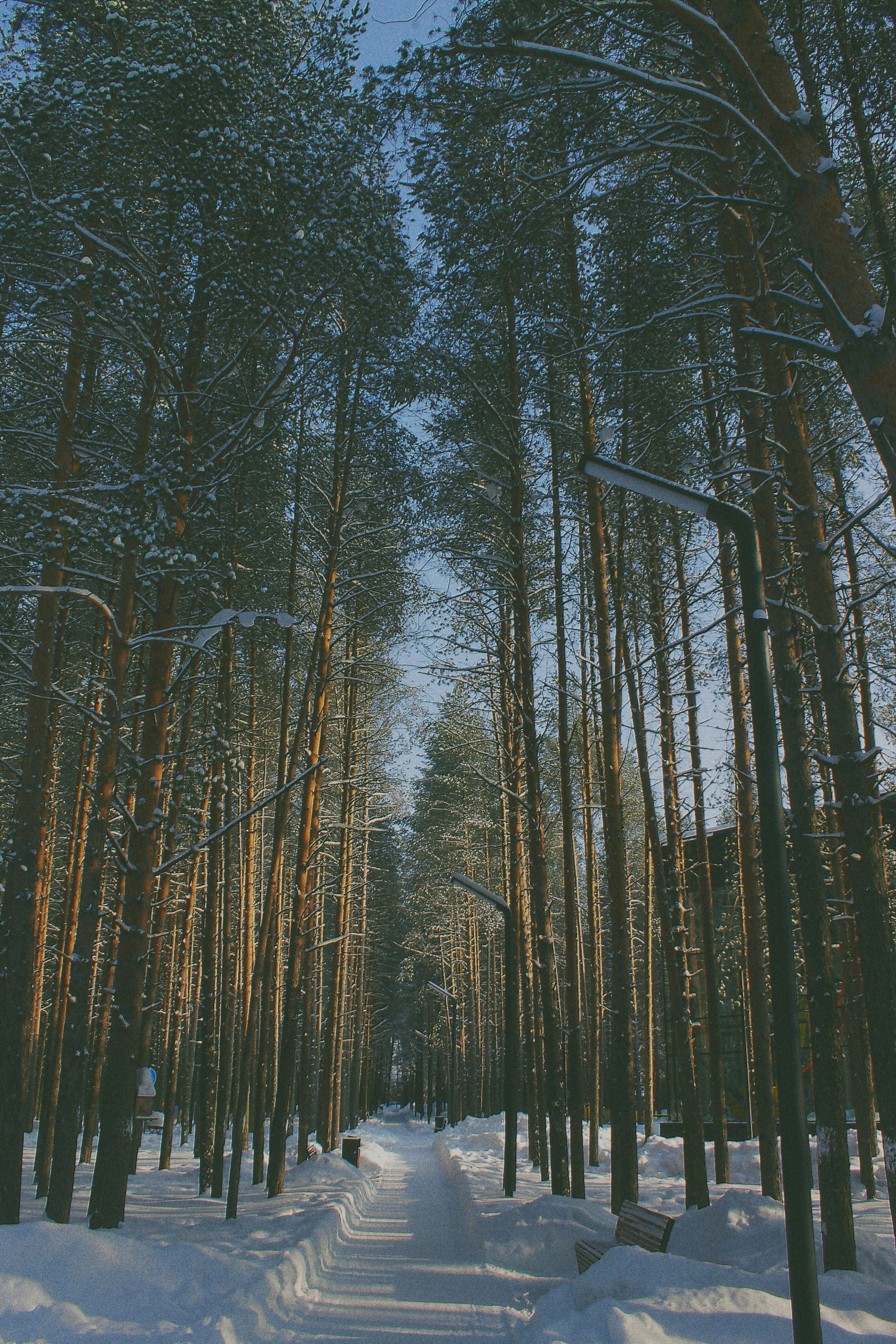 Photo by dragoncy635