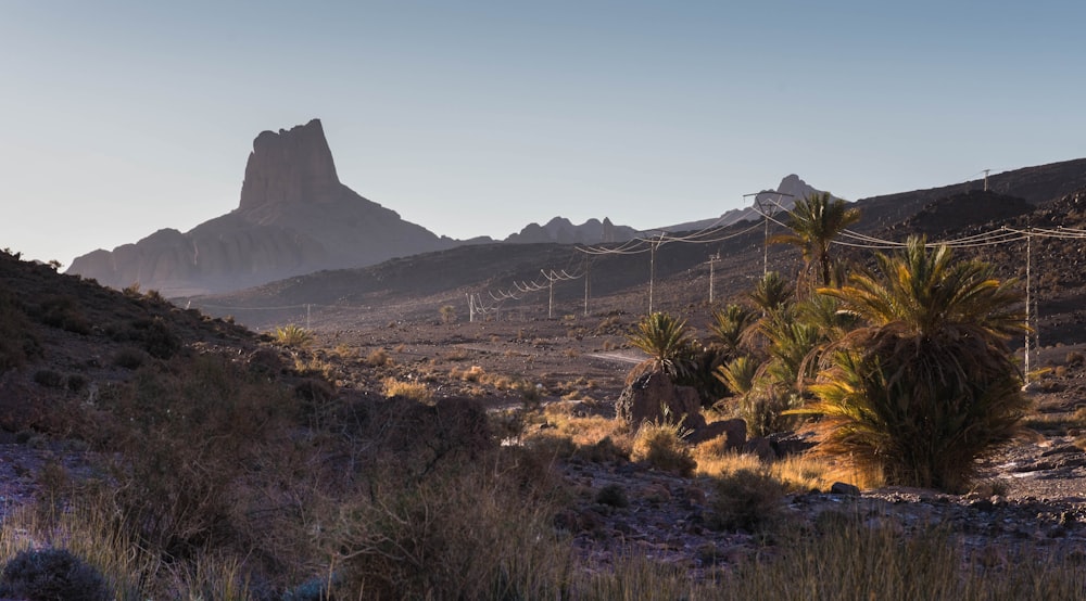 a view of a desert with a mountain in the background