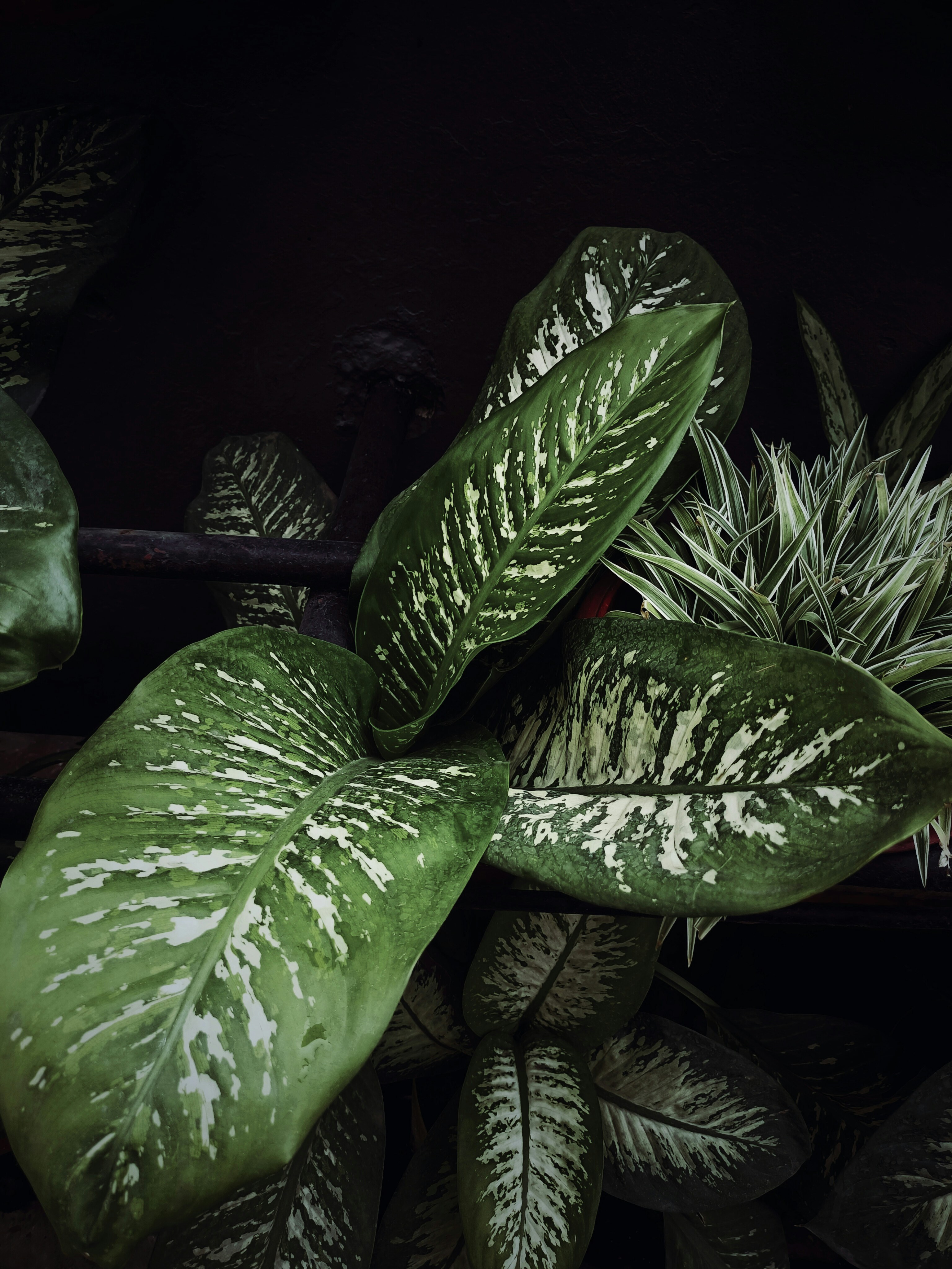 Photo by madhurjyas17