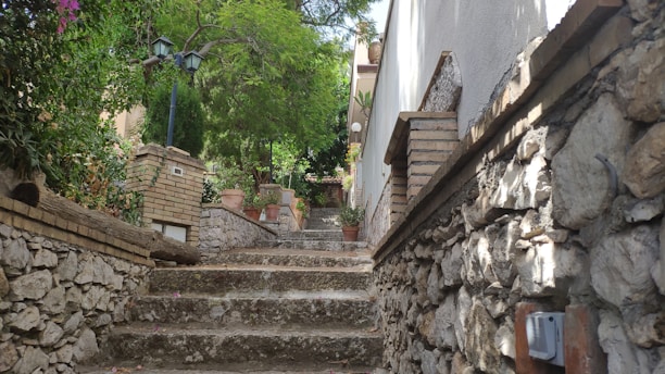 A rustic garden with warm lighting highlighting natural stone paths and lush plants.