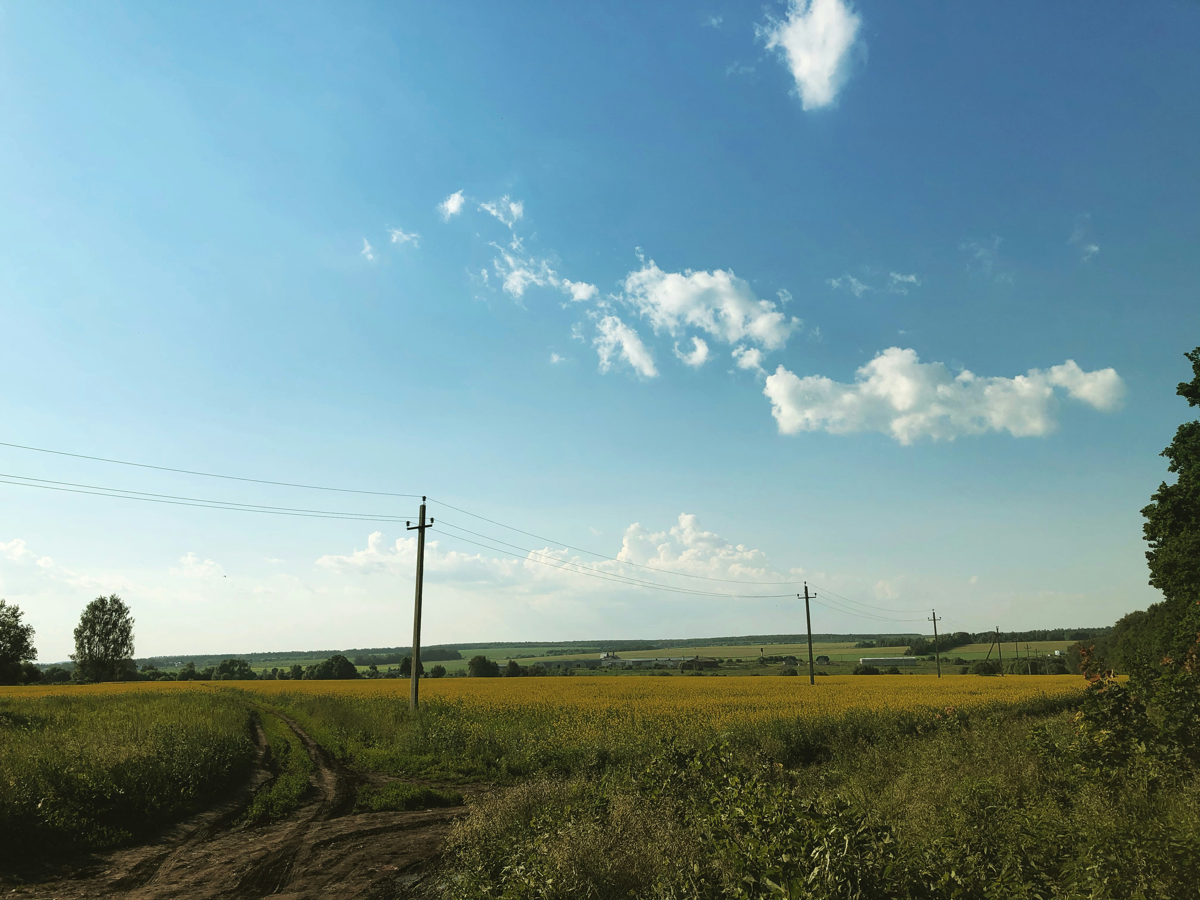 Photo by sweetapplepie