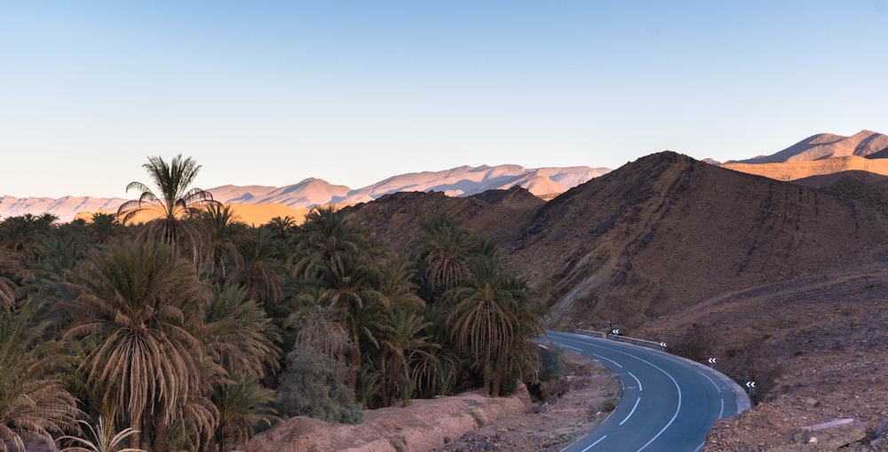 a winding road surrounded by palm trees and mountains