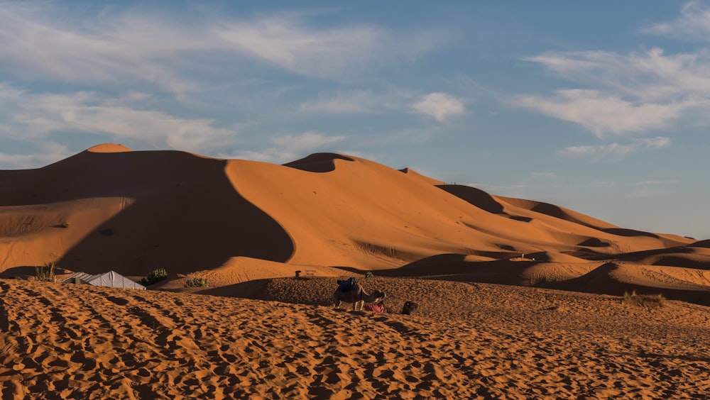 un groupe de personnes assises au sommet d’une colline de sable
