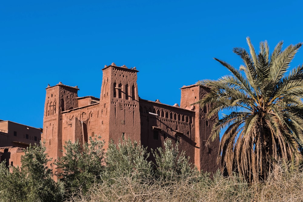 a tall building with a palm tree in front of it