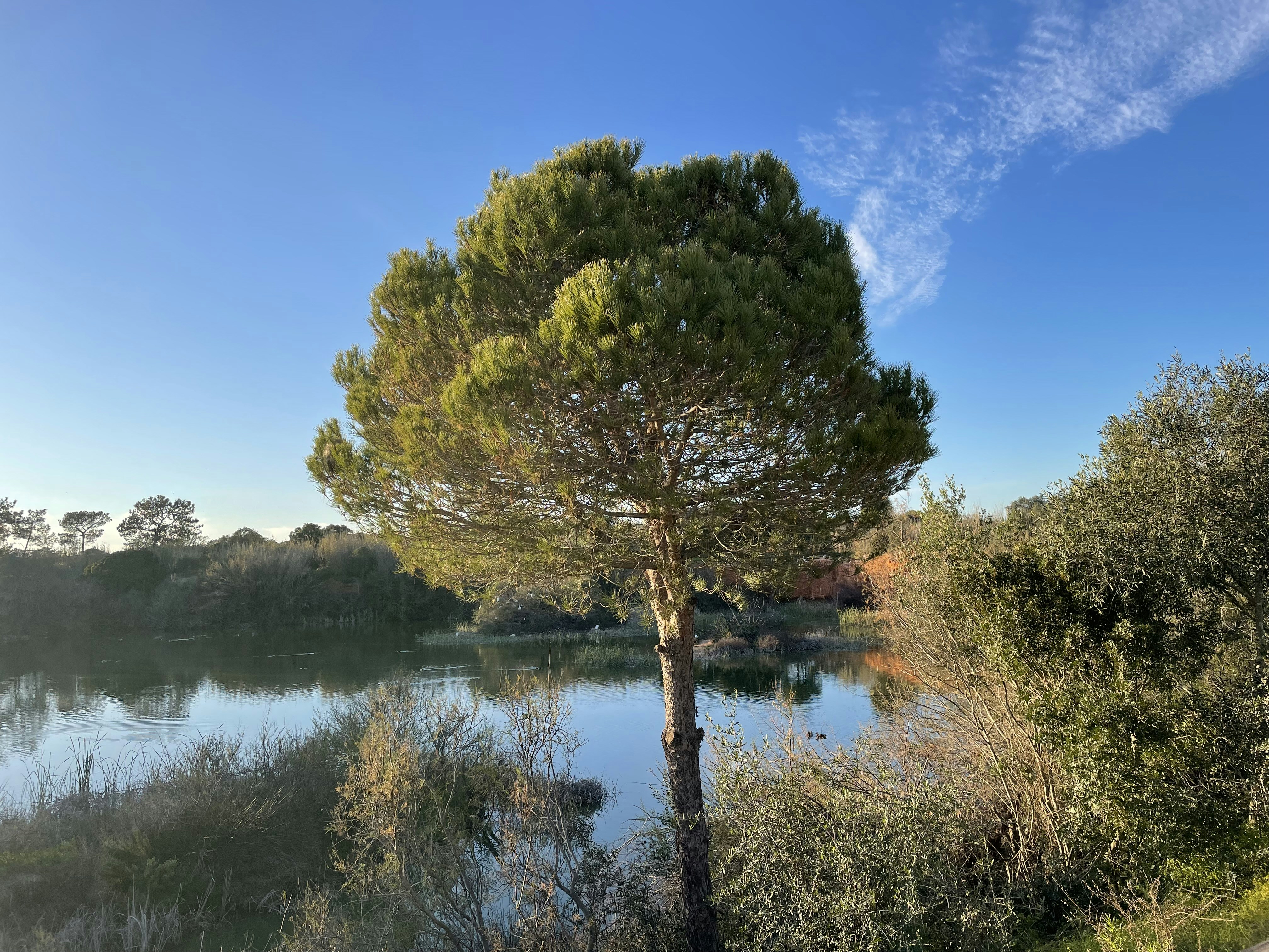 Photo by galifianakis