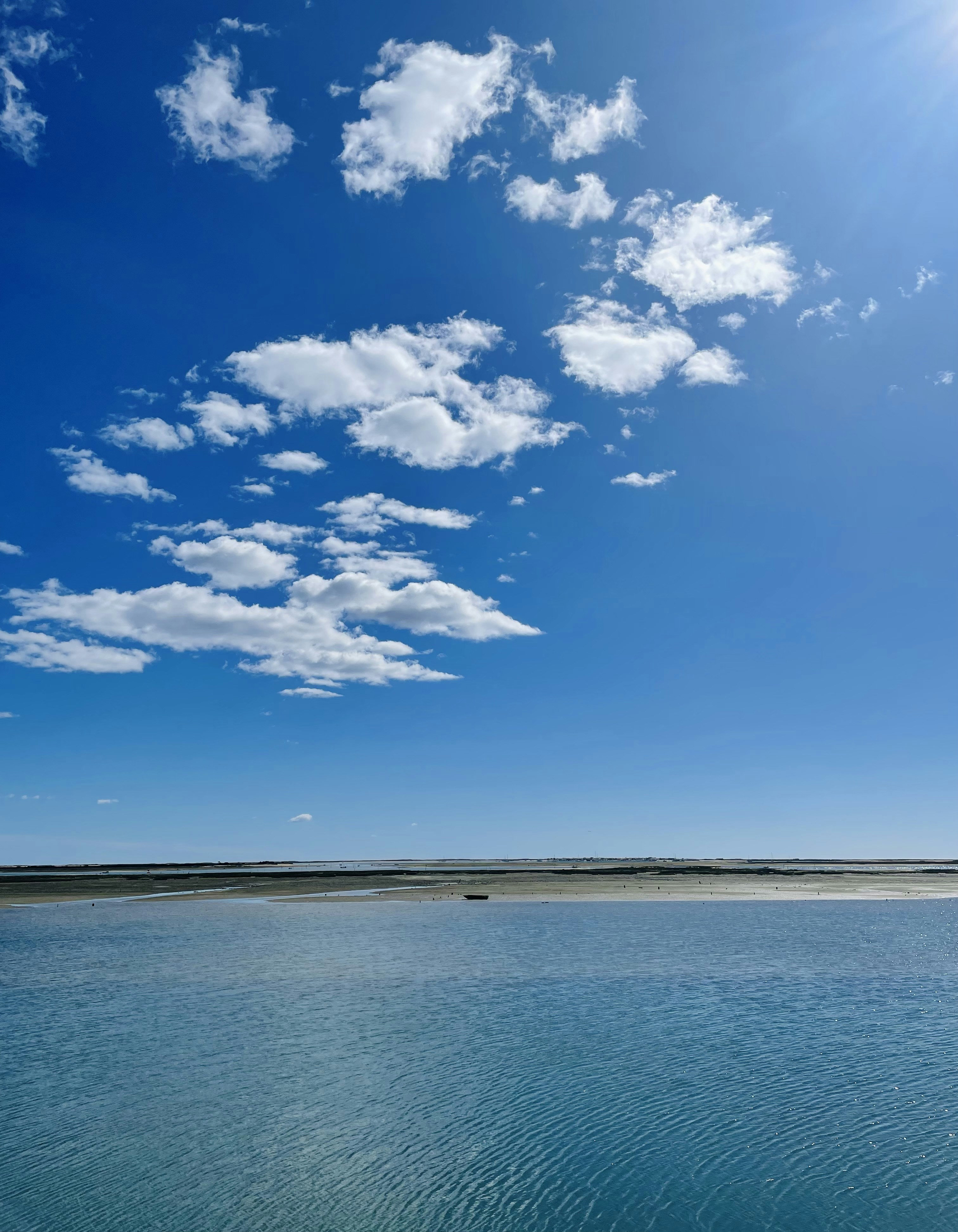 Photo by galifianakis