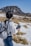 A person with long dark hair stands outdoors, holding a guidebook while wearing a white jacket and gray backpack. They are surrounded by a snowy landscape with patches of grass and a mountain in the distance under a clear blue sky.
