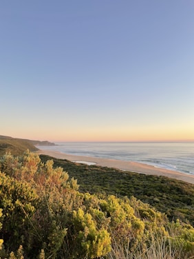 A vibrant coastal landscape at sunset with travelers enjoying the beach and lush greenery nearby.