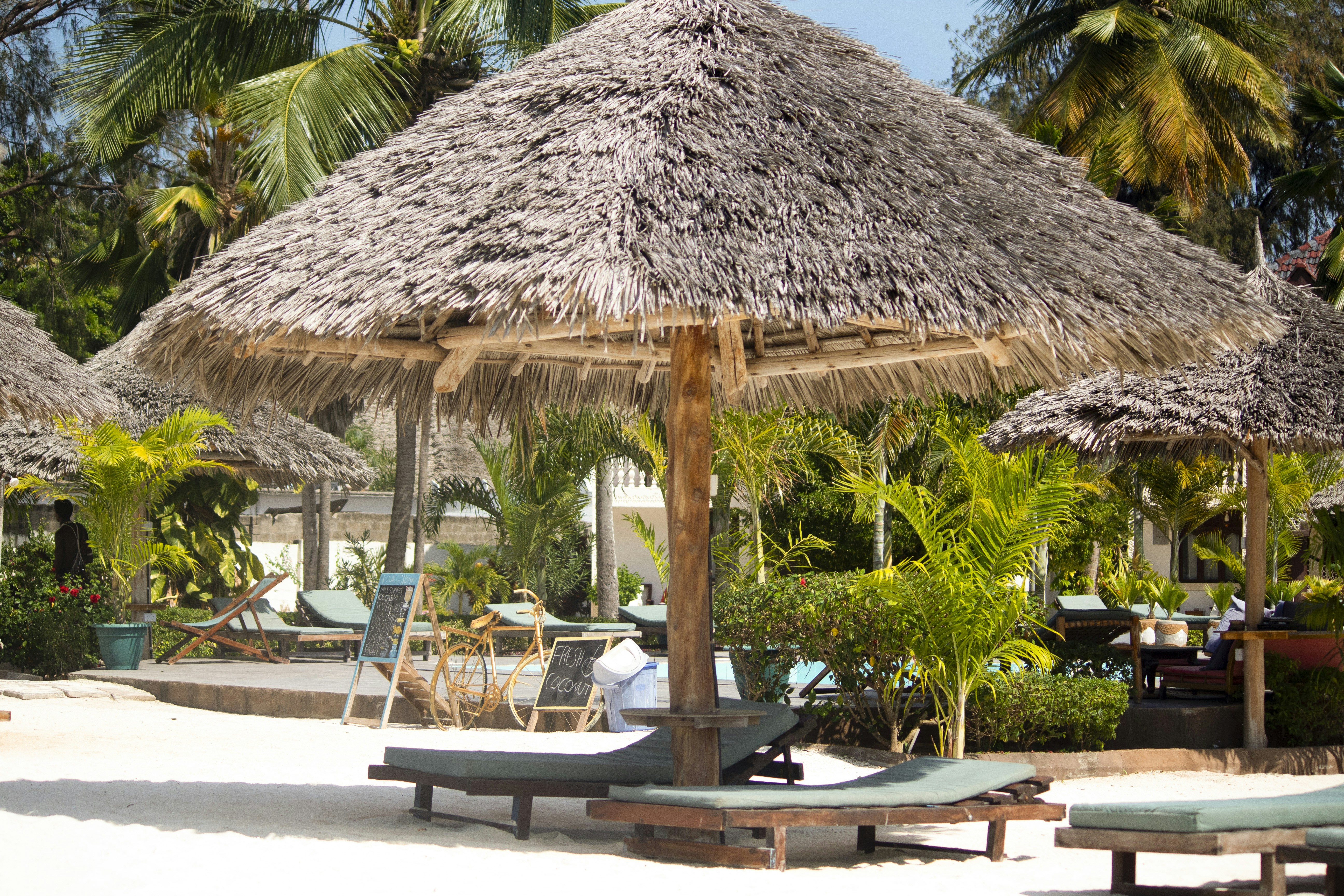 Photo by yusufhassan170