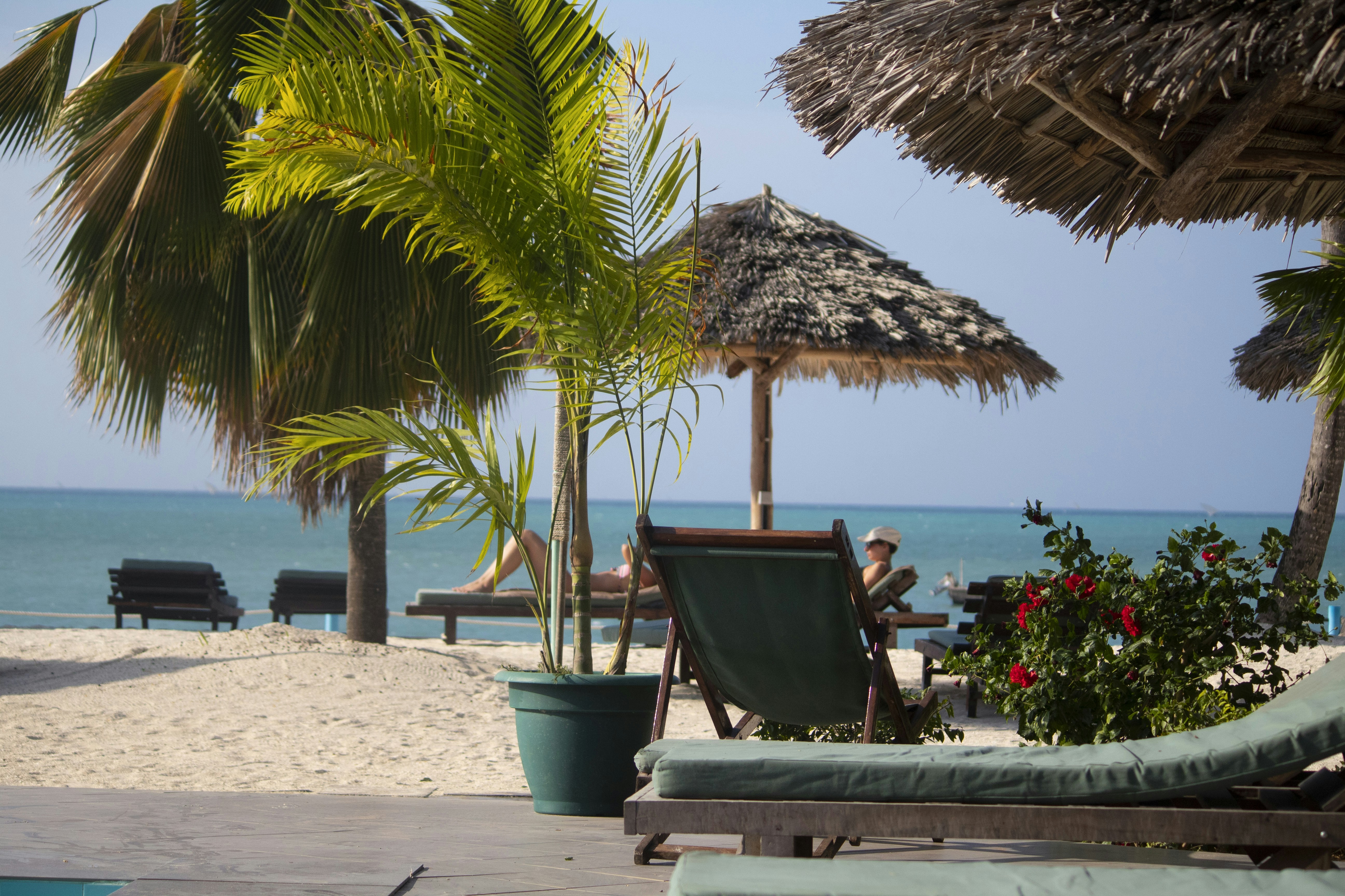 Photo by yusufhassan170